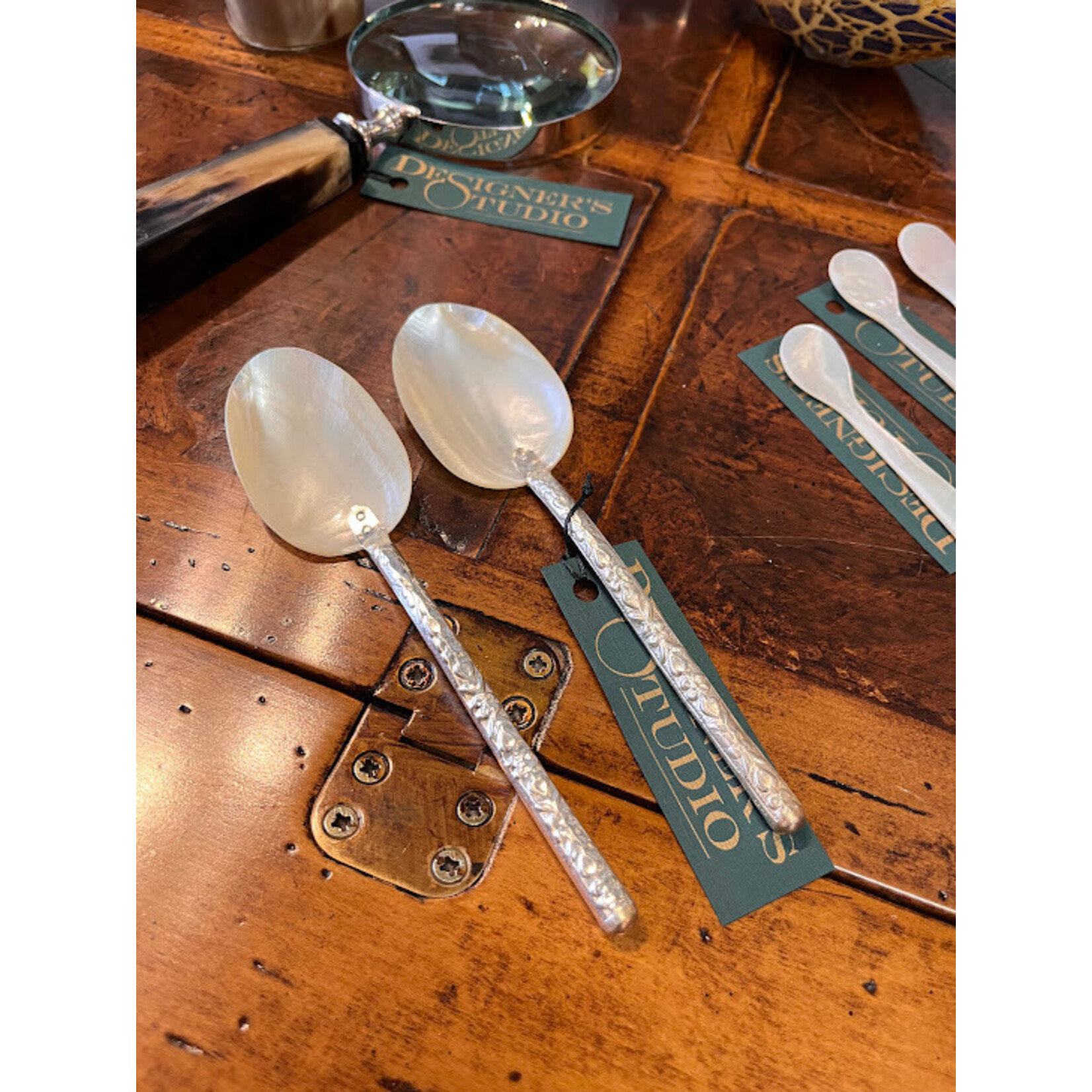Frances Stoia Assoc Rivershell Spoon with Decorative Metal Handle