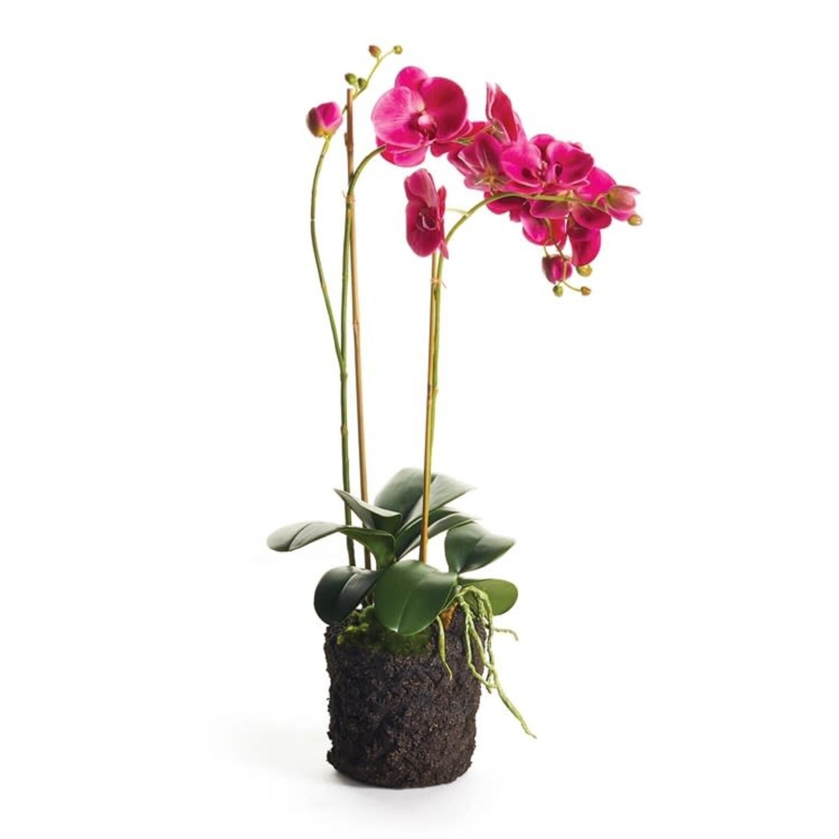 Napa Home and Garden Phalaenopsis x 2 Drop-In 29"