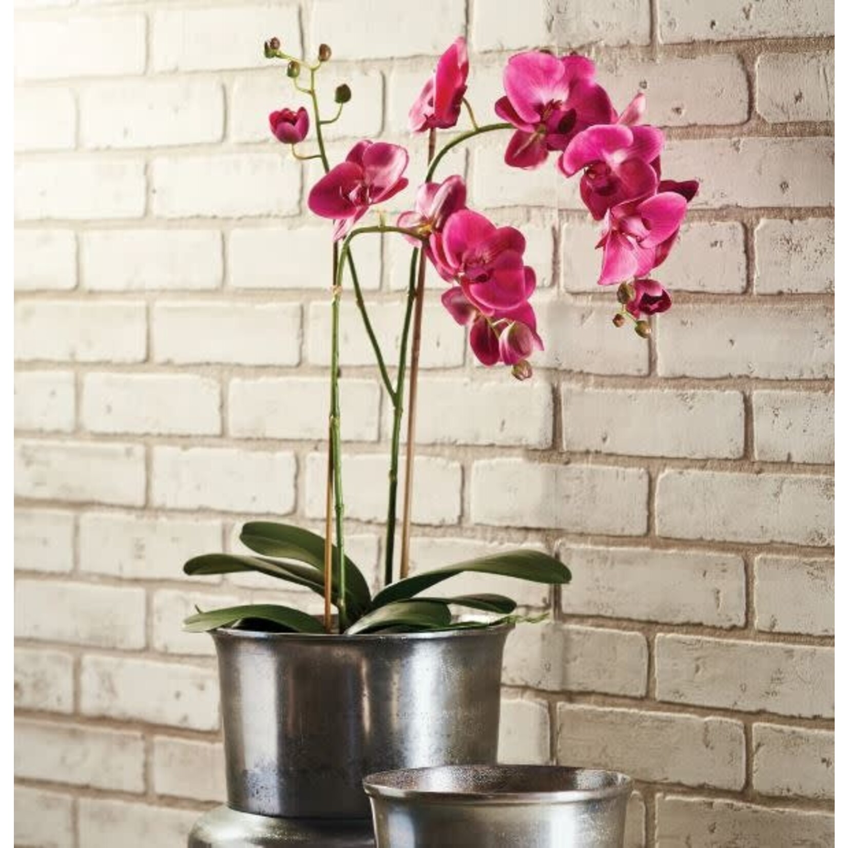 Napa Home and Garden Phalaenopsis x 2 Drop-In 29"