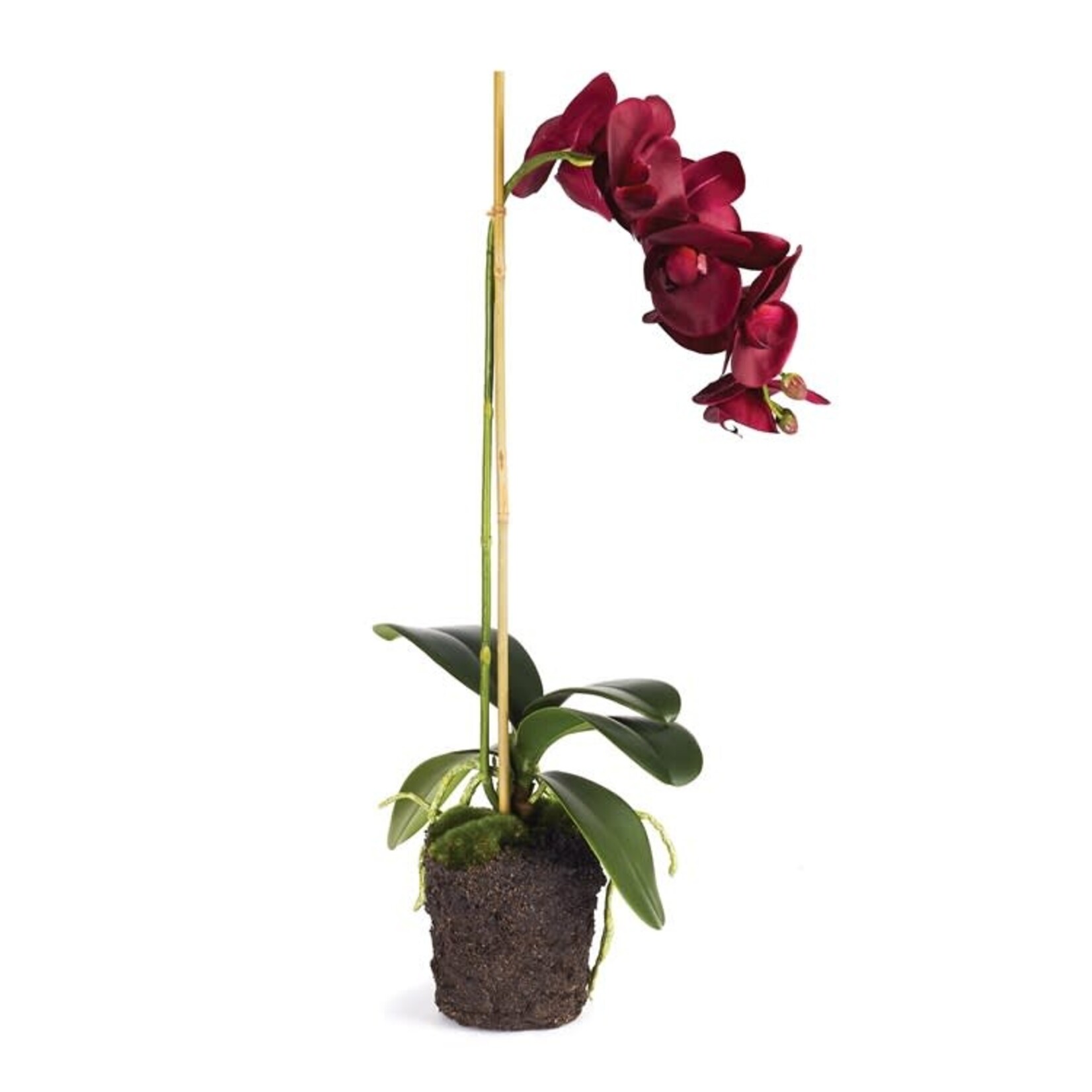 Napa Home and Garden Phalaenopsis Drop-In 25"