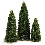 Napa Home and Garden Boxwood Mini Tree