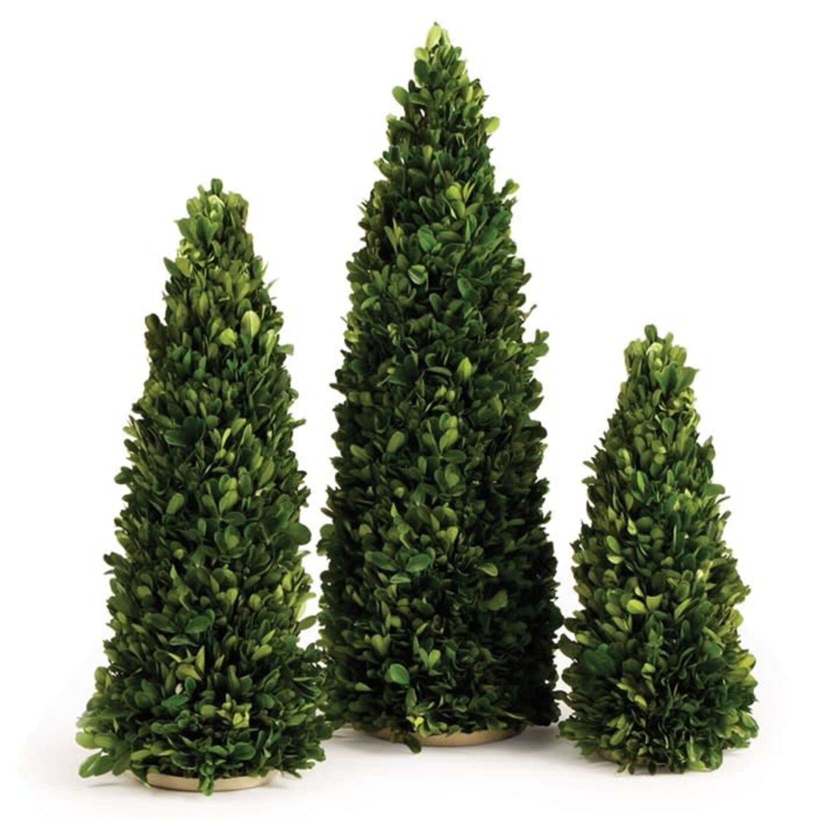Napa Home and Garden Boxwood Mini Tree