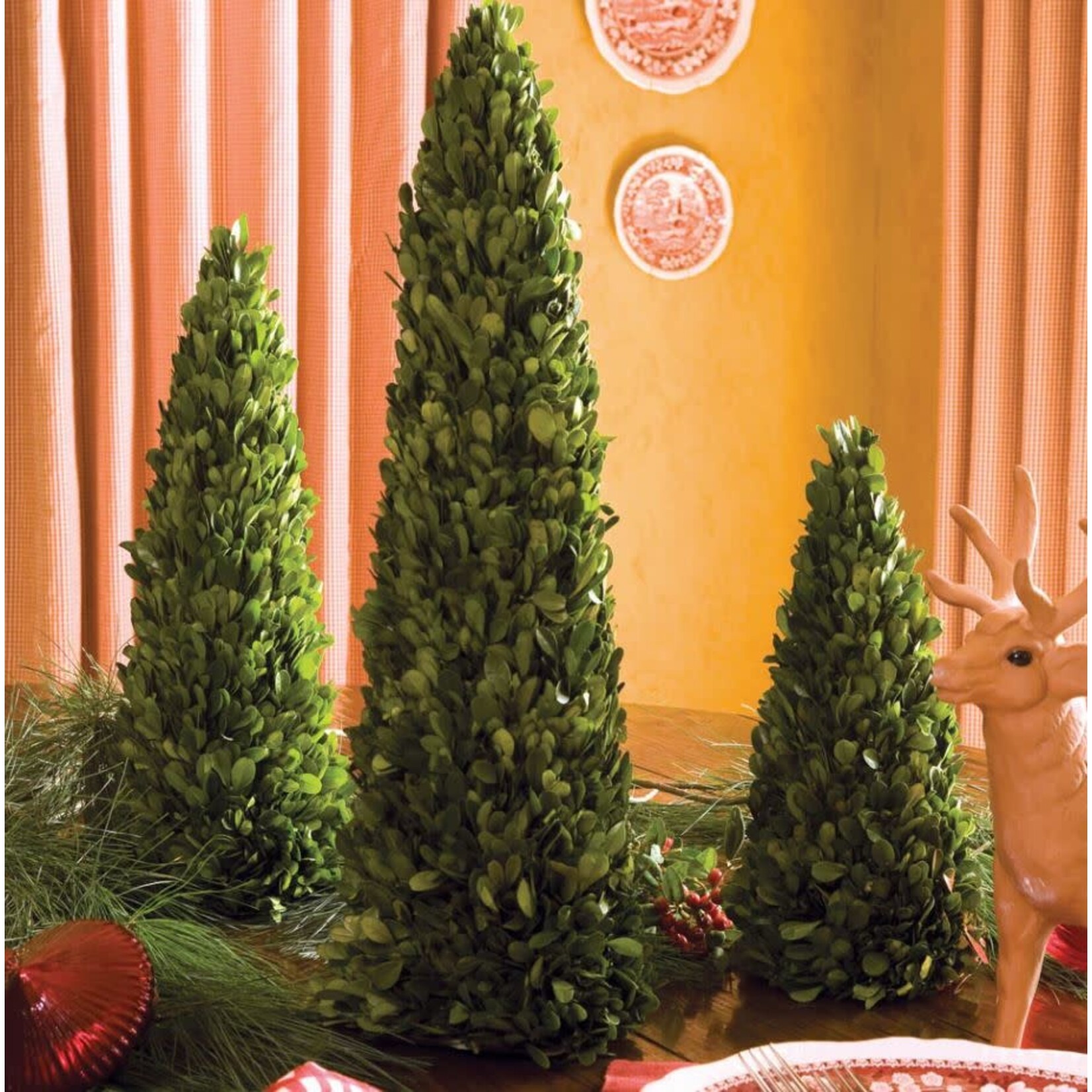 Napa Home and Garden Boxwood Mini Tree