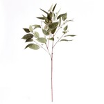 Napa Home and Garden Eucalyptus Seed Stem 41" Fux