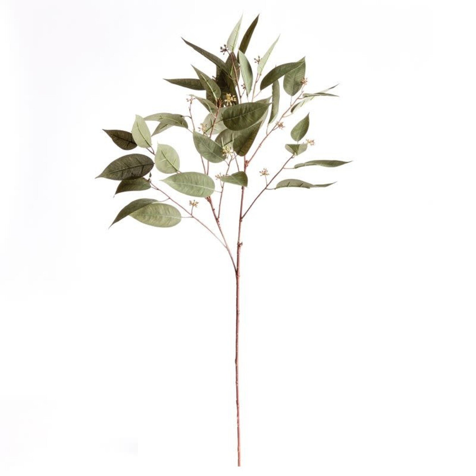 Napa Home and Garden Eucalyptus Seed Stem 41" Faux