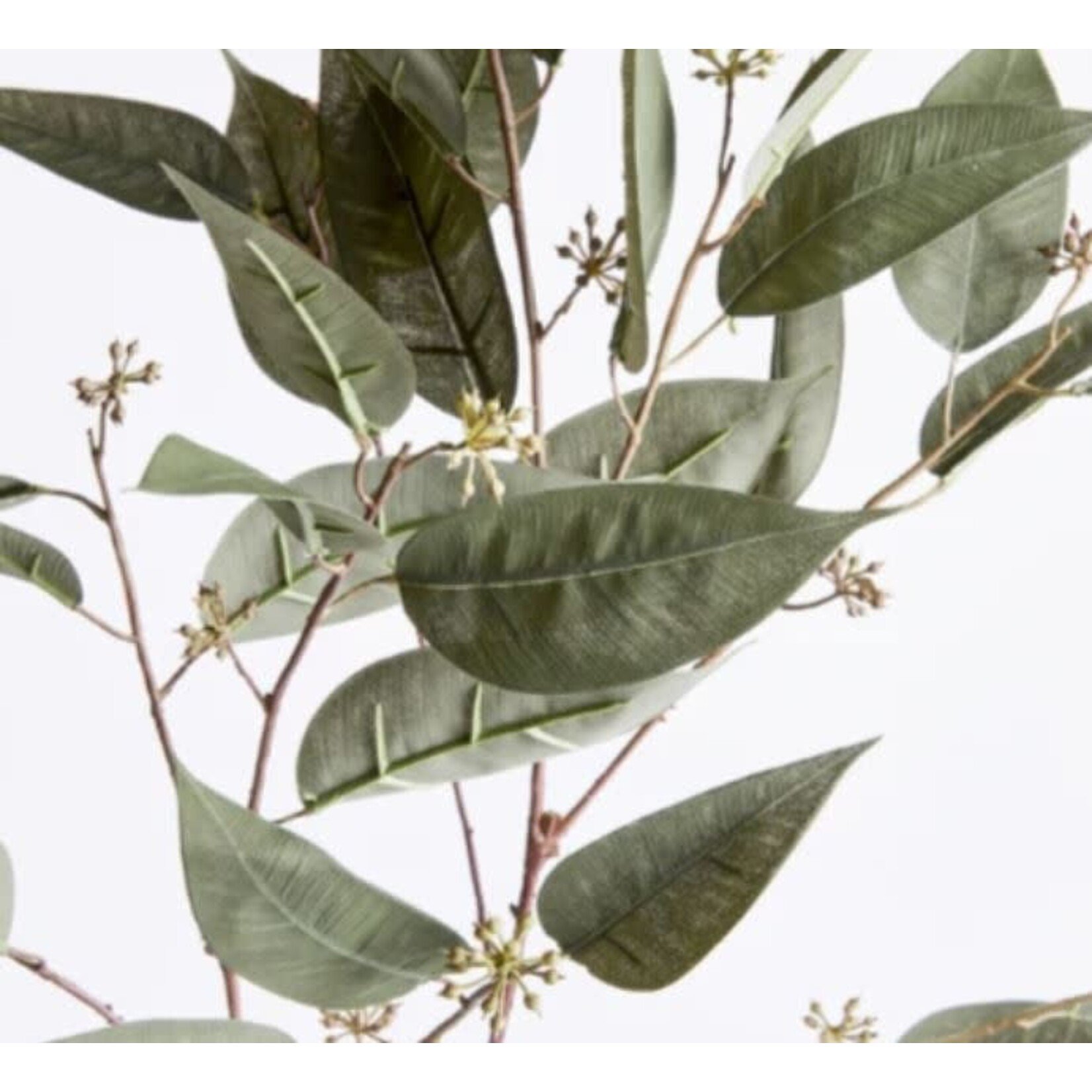 Napa Home and Garden Eucalyptus Seed Stem 41" Faux