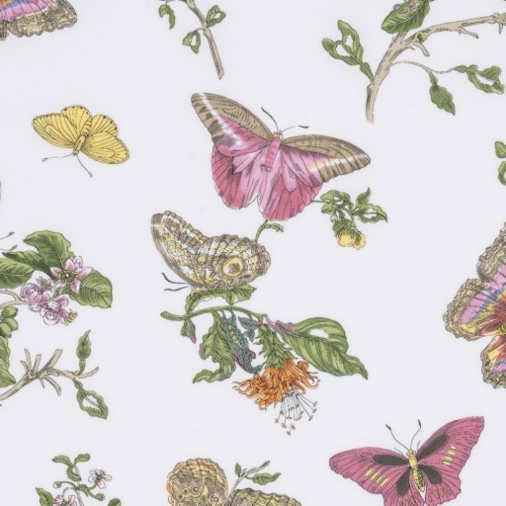 Matouk Baudin Butterfly Pillowcase Pair