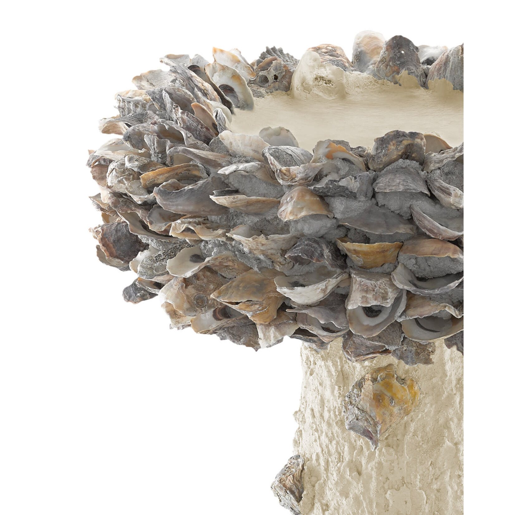 Currey & Company Oyster Shell Medium Bird Bath