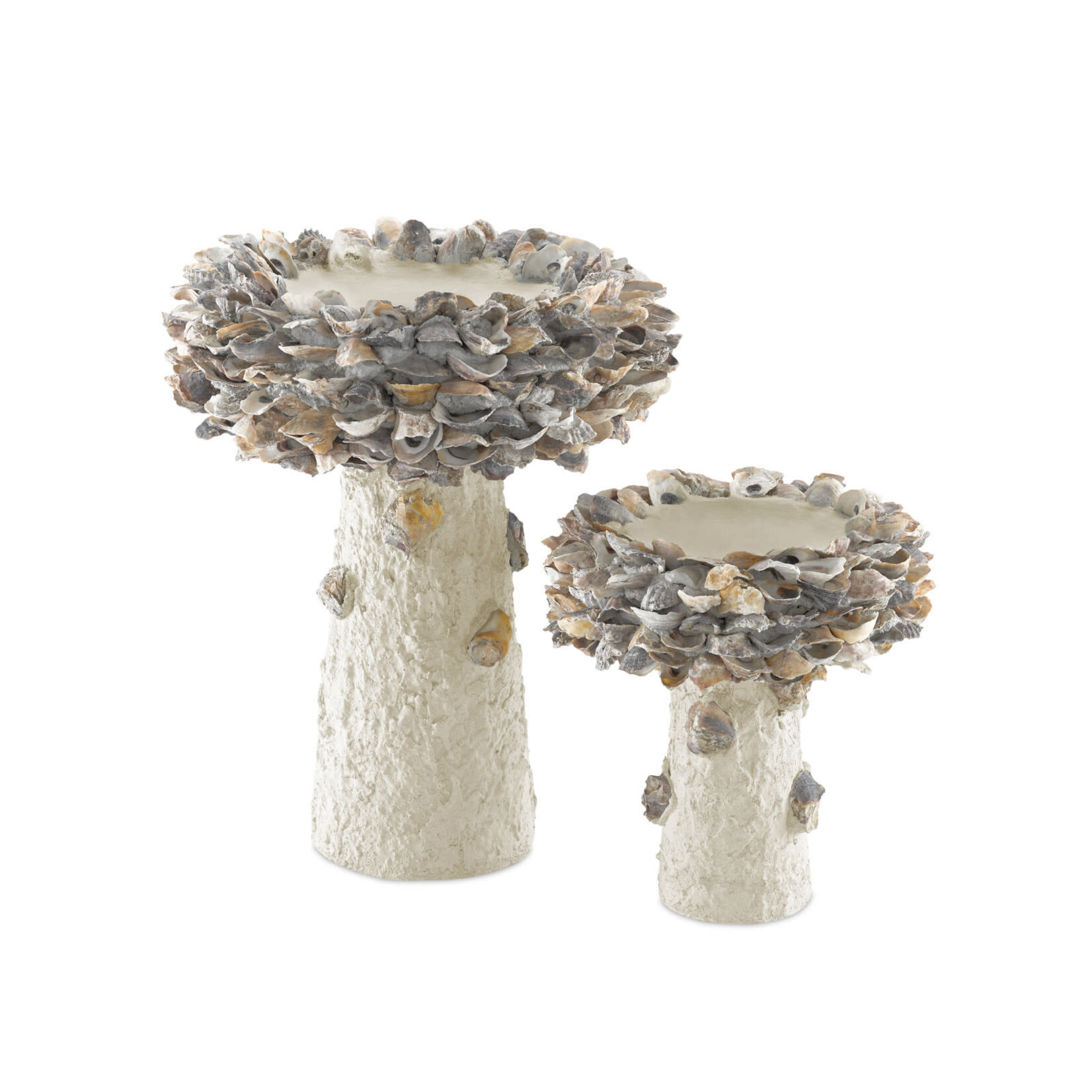 Currey & Company Oyster Shell Medium Bird Bath