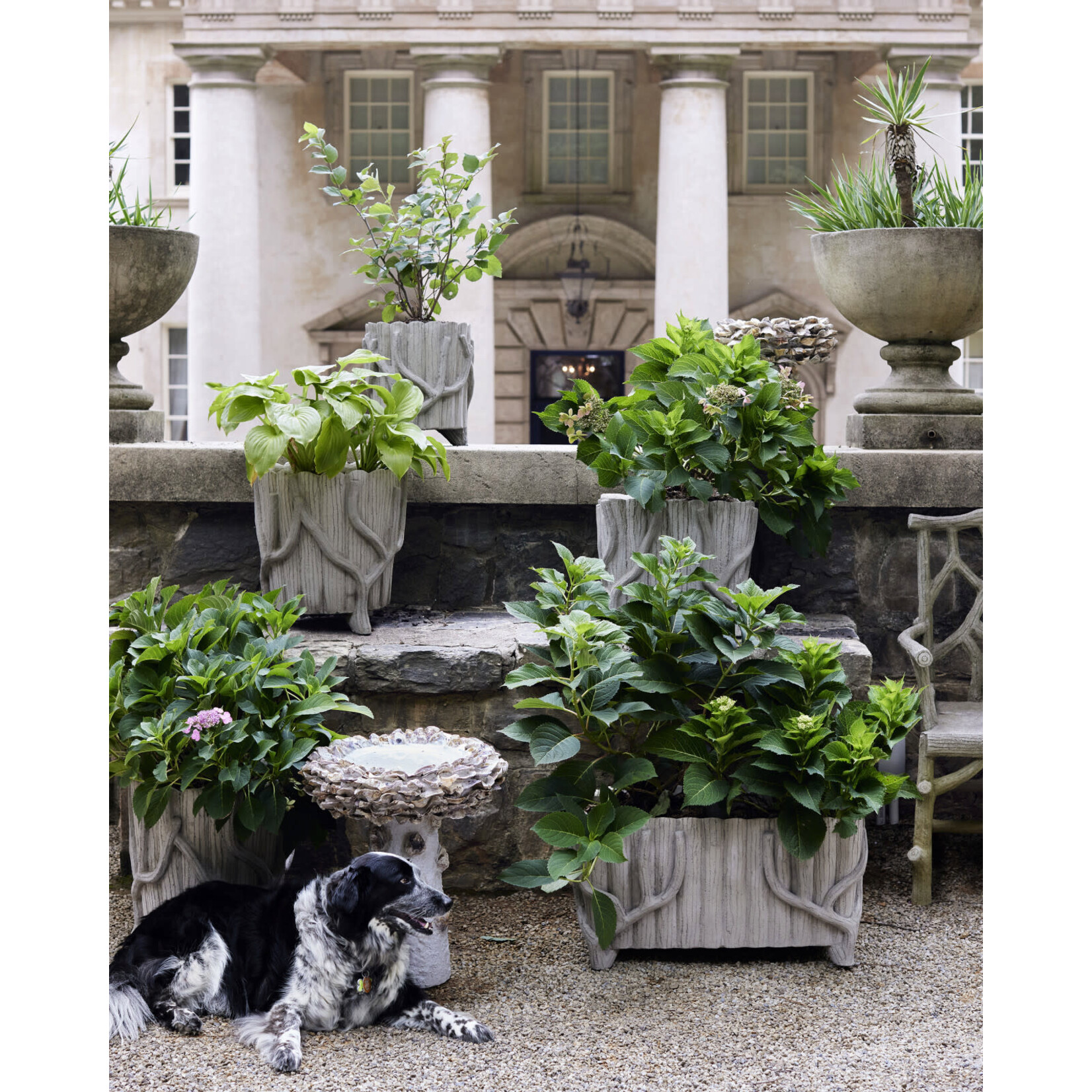 Currey & Company Oyster Shell Medium Bird Bath
