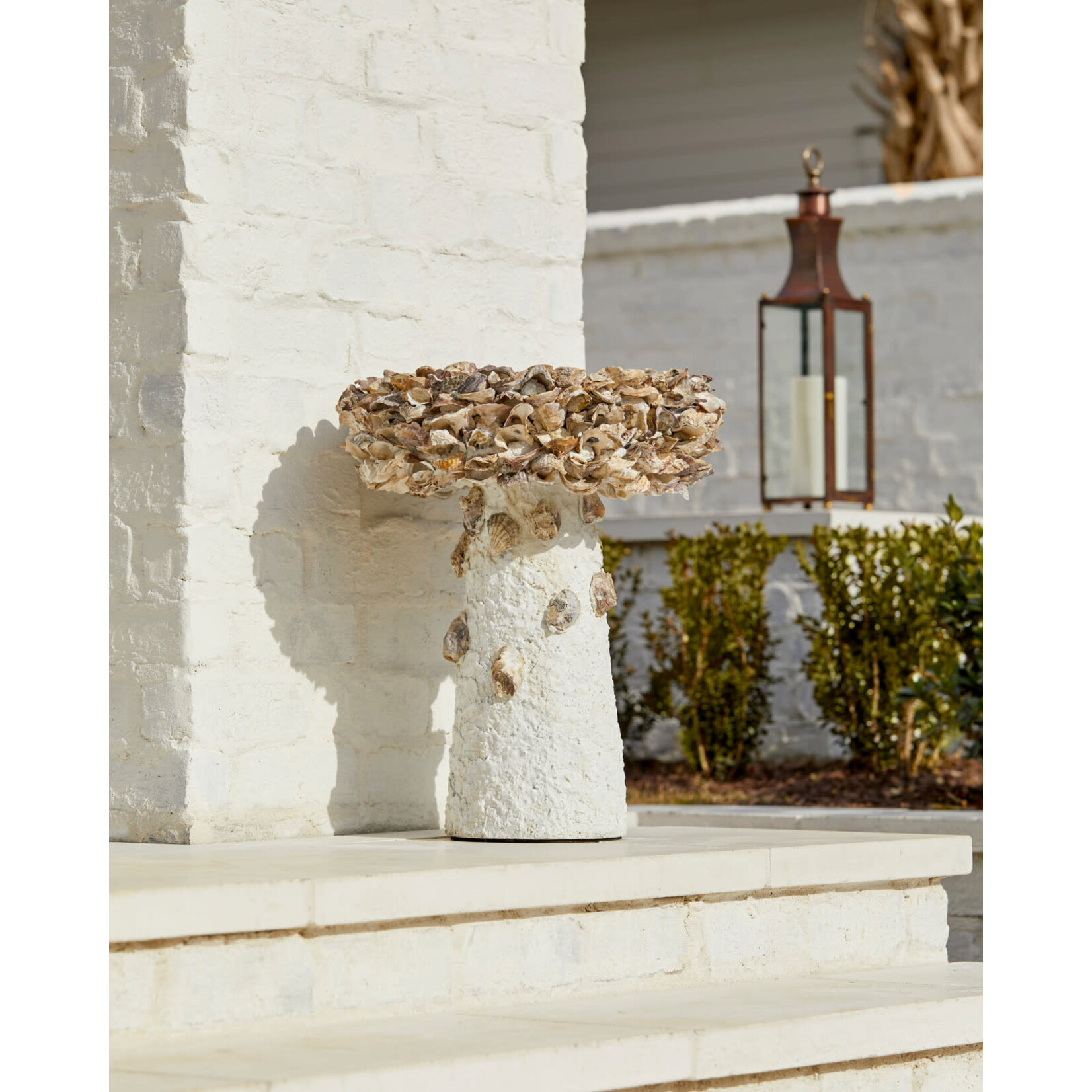 Currey & Company Oyster Shell Medium Bird Bath