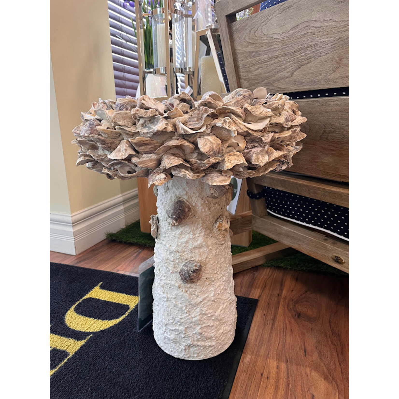 Currey & Company Oyster Shell Medium Bird Bath