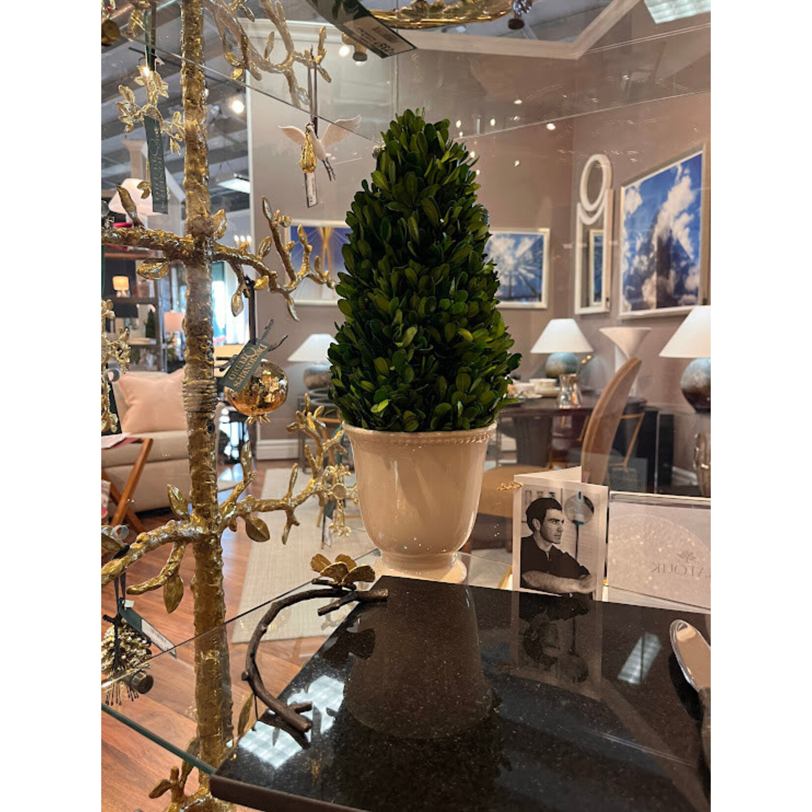 Napa Home and Garden Boxwood Cone In Beaded White Pot Topiary