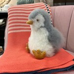 Fibre by Auskin Alpaca Penguin Collectible 8" Stuffed Animal