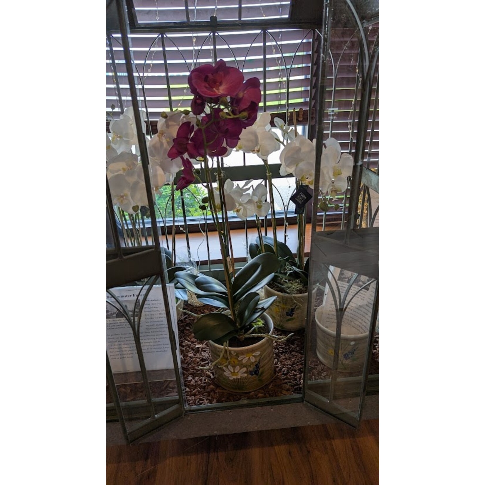 Napa Home and Garden Phalaenopsis x 2 Drop-In 29"
