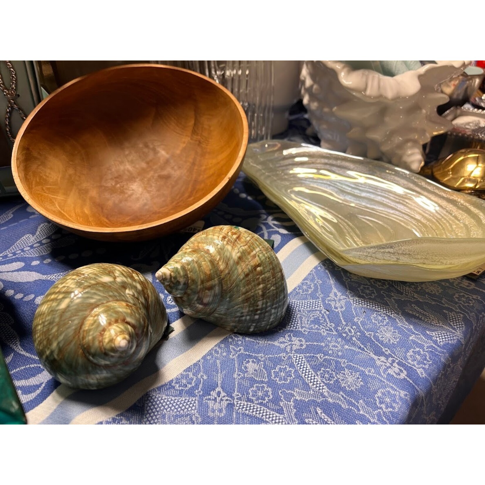 Tozai Jade Turbo Polished Shell