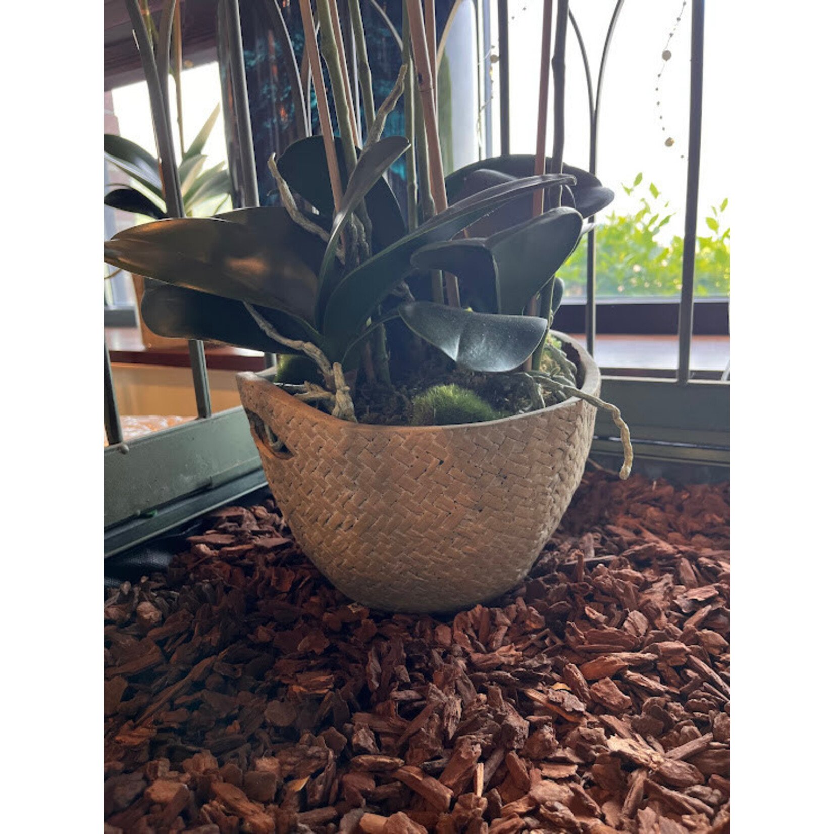 Napa Home and Garden Basket Weave Natural Cachepot - Medium 7.75" x 5.25"