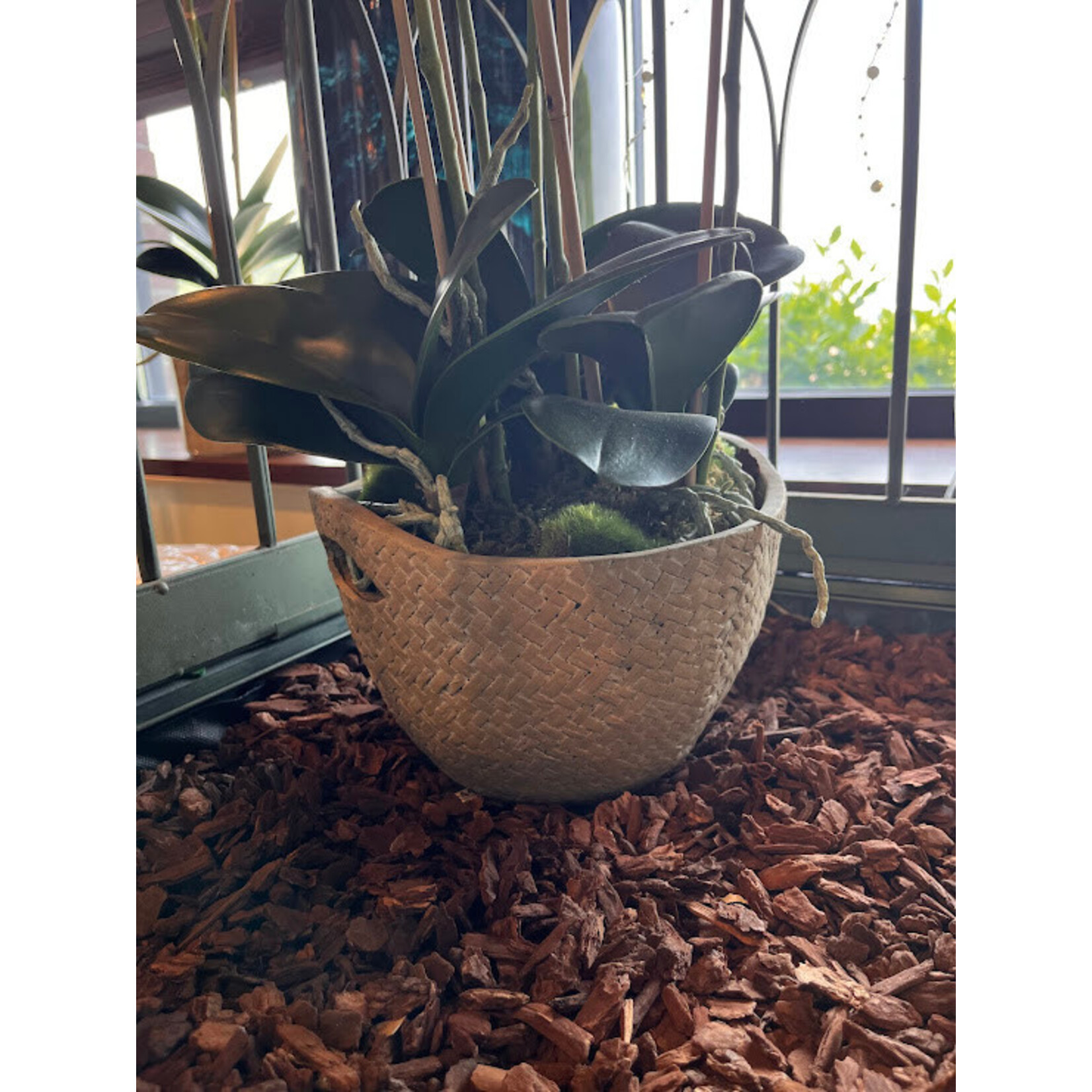 Napa Home and Garden Basket Weave Pot Medium  7.75x5.25