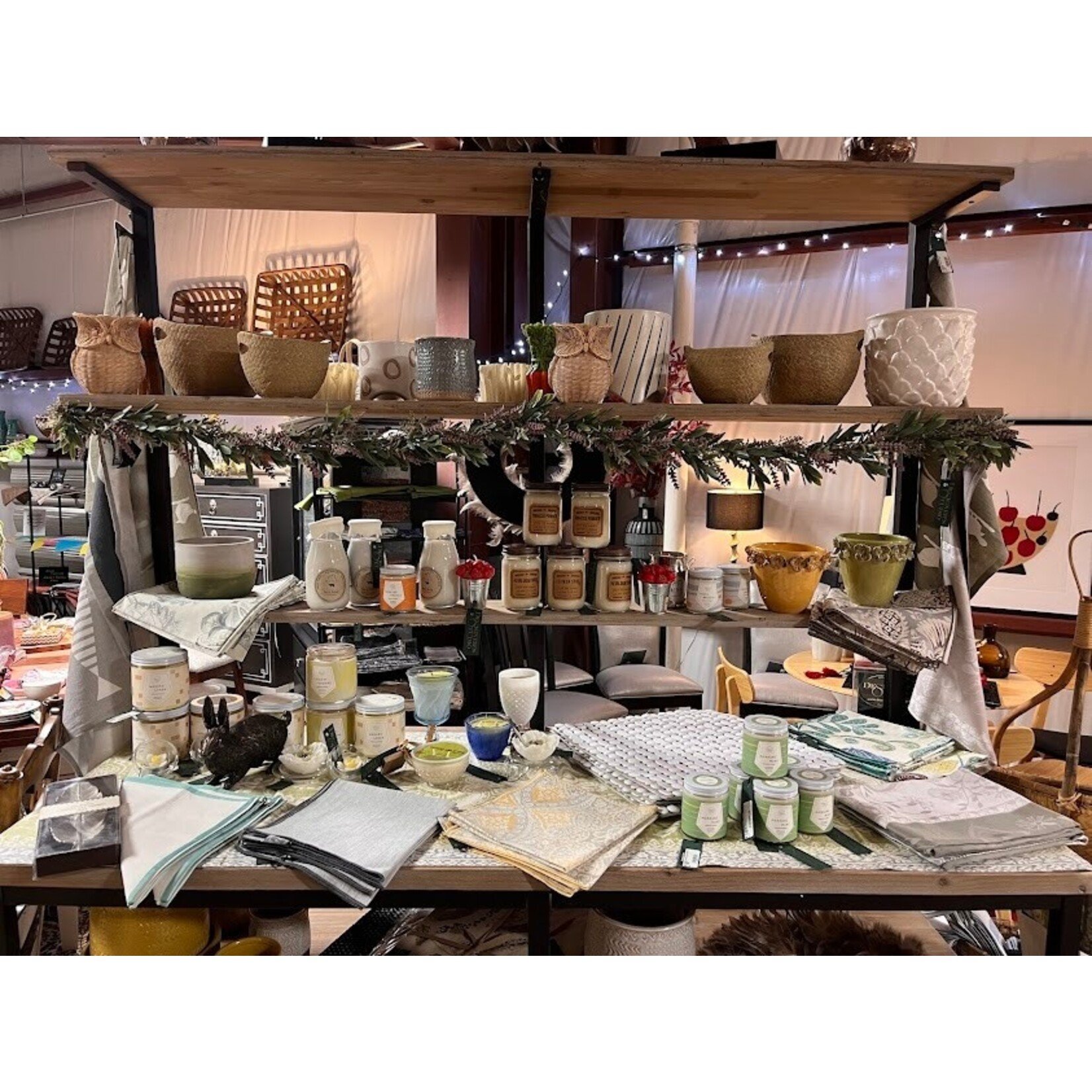 Napa Home and Garden Finn Cachepot - Small 3.75" x 4.25"