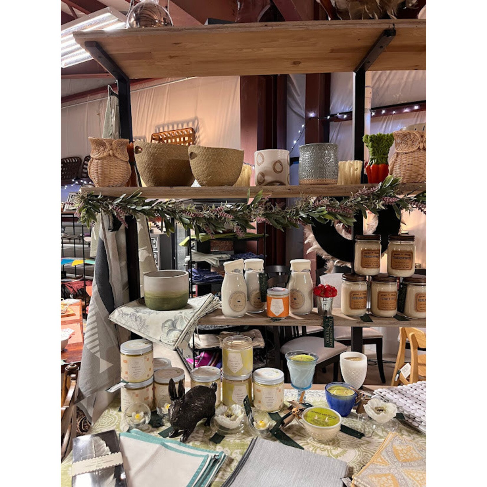 Napa Home and Garden Finn Cachepot - Small 3.75" x 4.25"