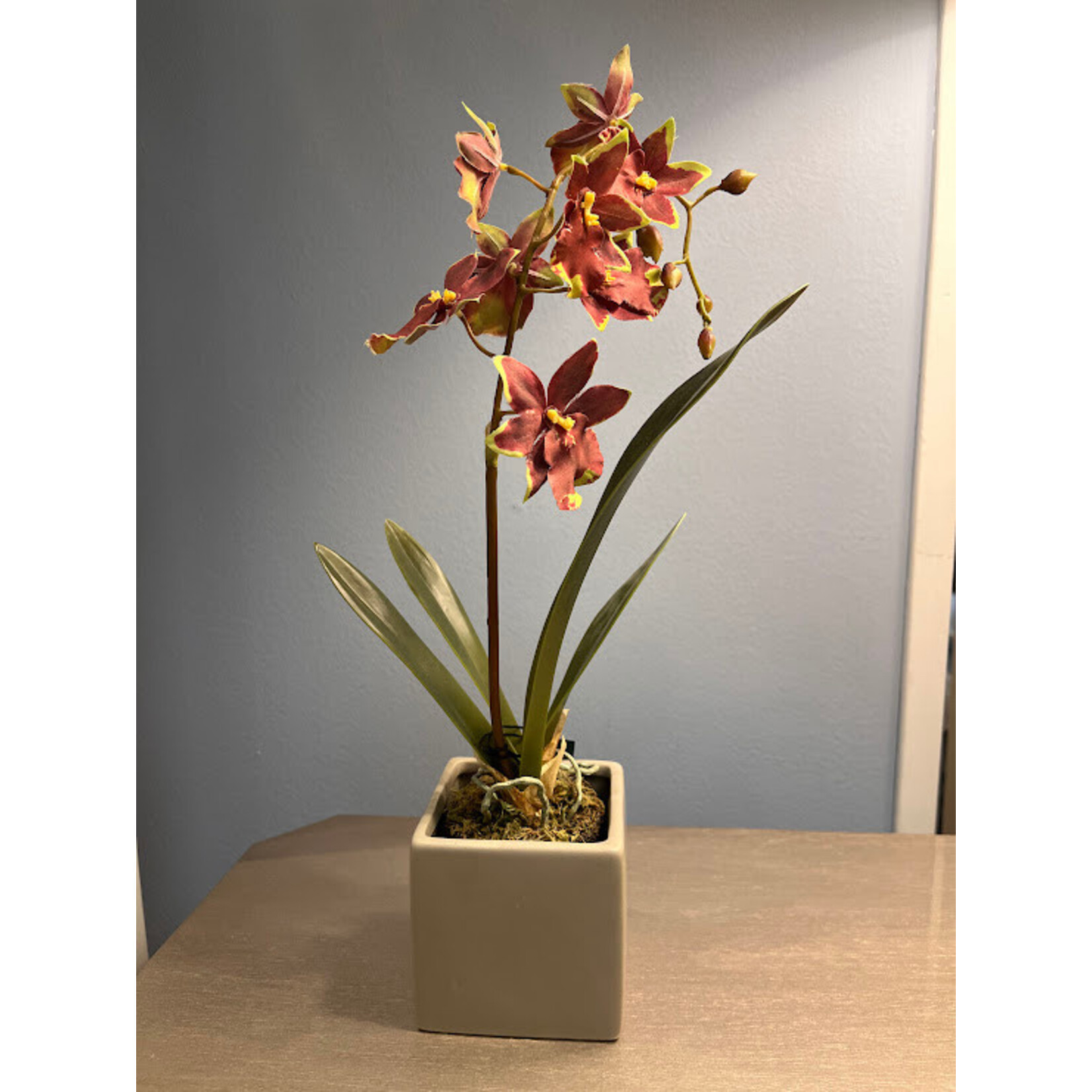 Napa Home and Garden Dancing Orchid Drop In 15"
