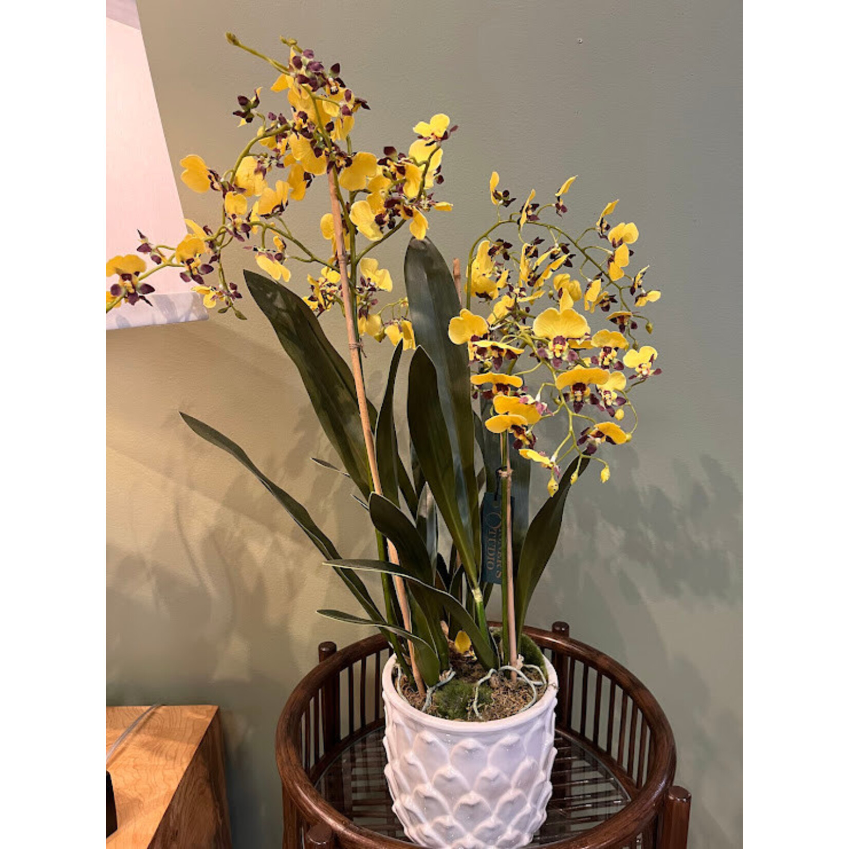 Napa Home and Garden Dancing Yellow Orchid Faux Floral Drop-in 32" in White Artichoke Pot