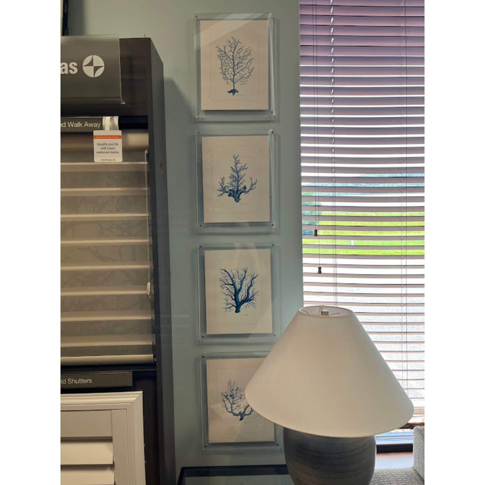 Two's Company Coral Wall Art Set of 4