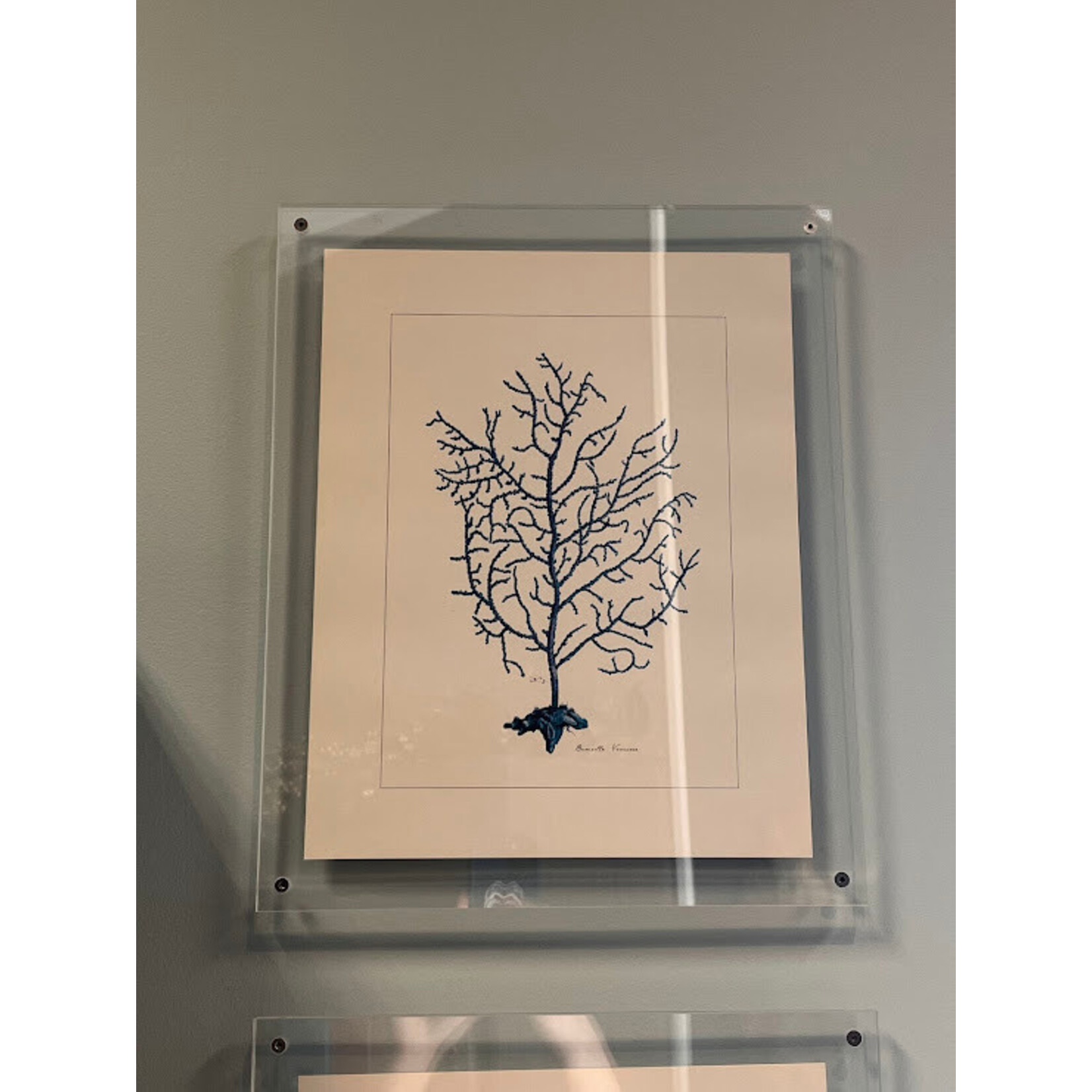 Two's Company Coral Wall Art Set of 4