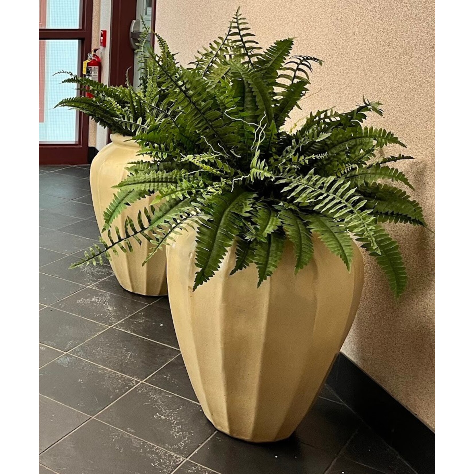 Winward Floral & Seasonal Decor Artificial Staged Boston Fern 28"