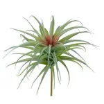 Winward Home Artificial Green Burgundy Spider Bromelia Plant Pick 17"