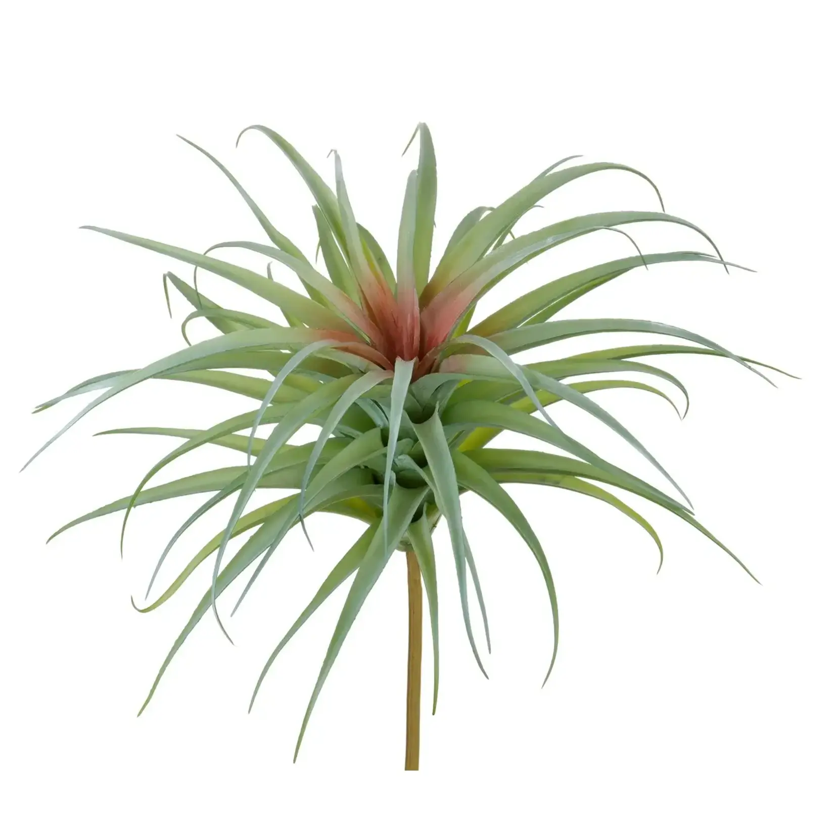 Winward Floral & Seasonal Decor Artificial Green Burgundy Spider Bromelia Plant Pick 17"