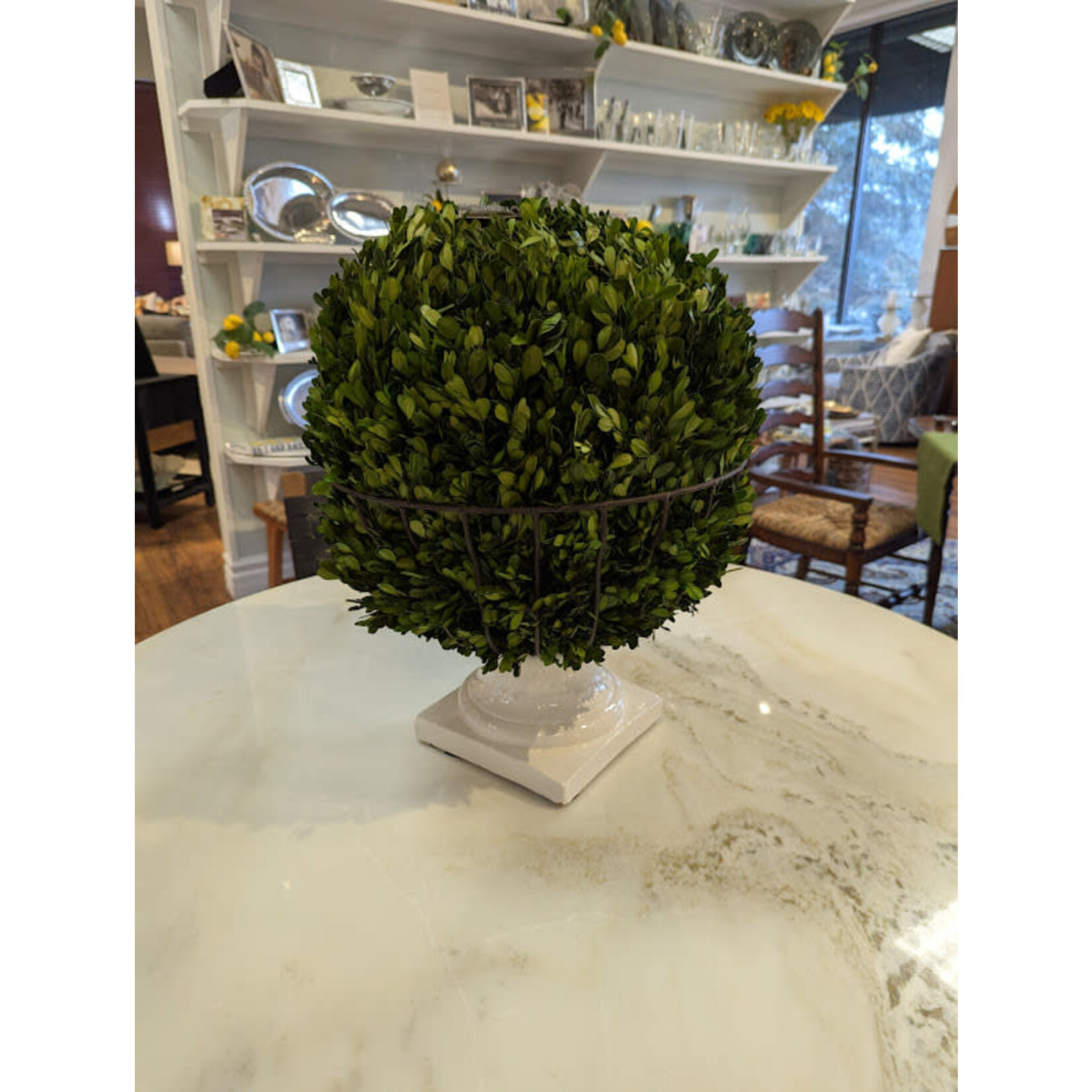 Winward Floral & Seasonal Decor Preserved Boxwood 16" Ball