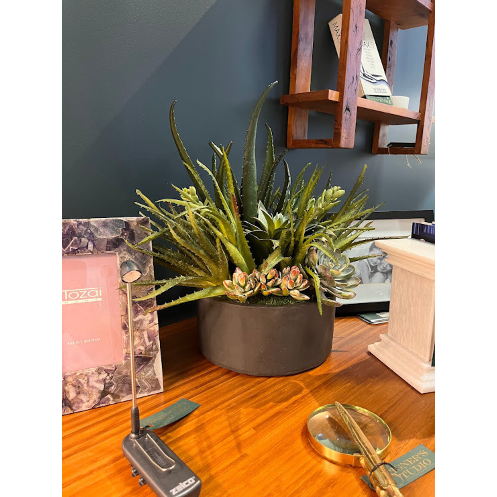 Winward Floral & Seasonal Decor Aloe Succulents Mix Tray Arrangement