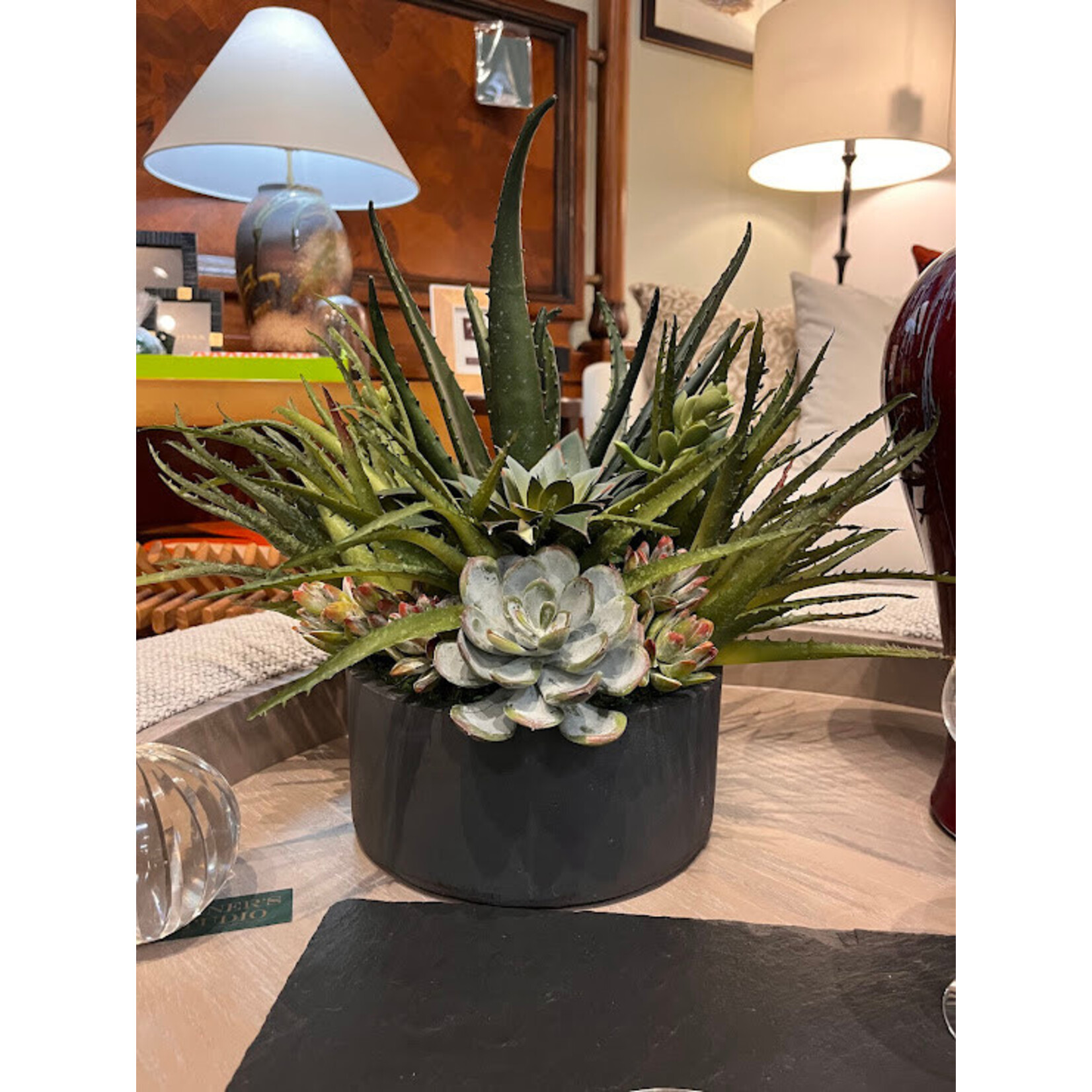 Winward Floral & Seasonal Decor Aloe Succulents Mix Tray Arrangement
