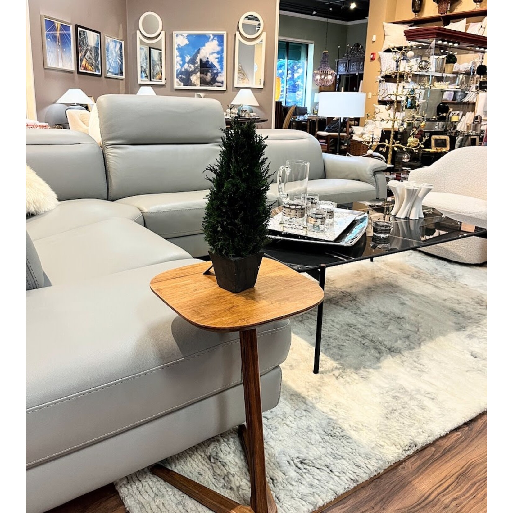 Zodax Cypress Tree Preserved Topiary Medium