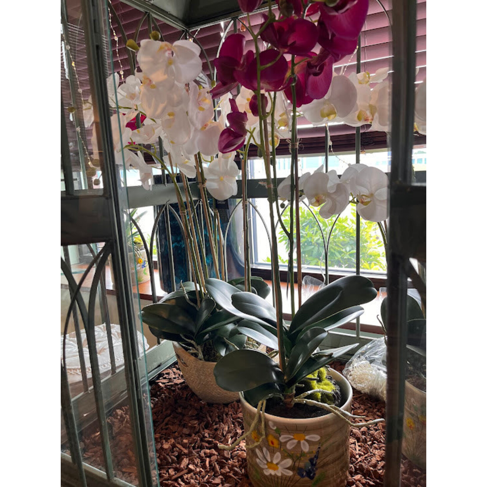 Napa Home and Garden Phalaenopsis Orchid Drop in 30"