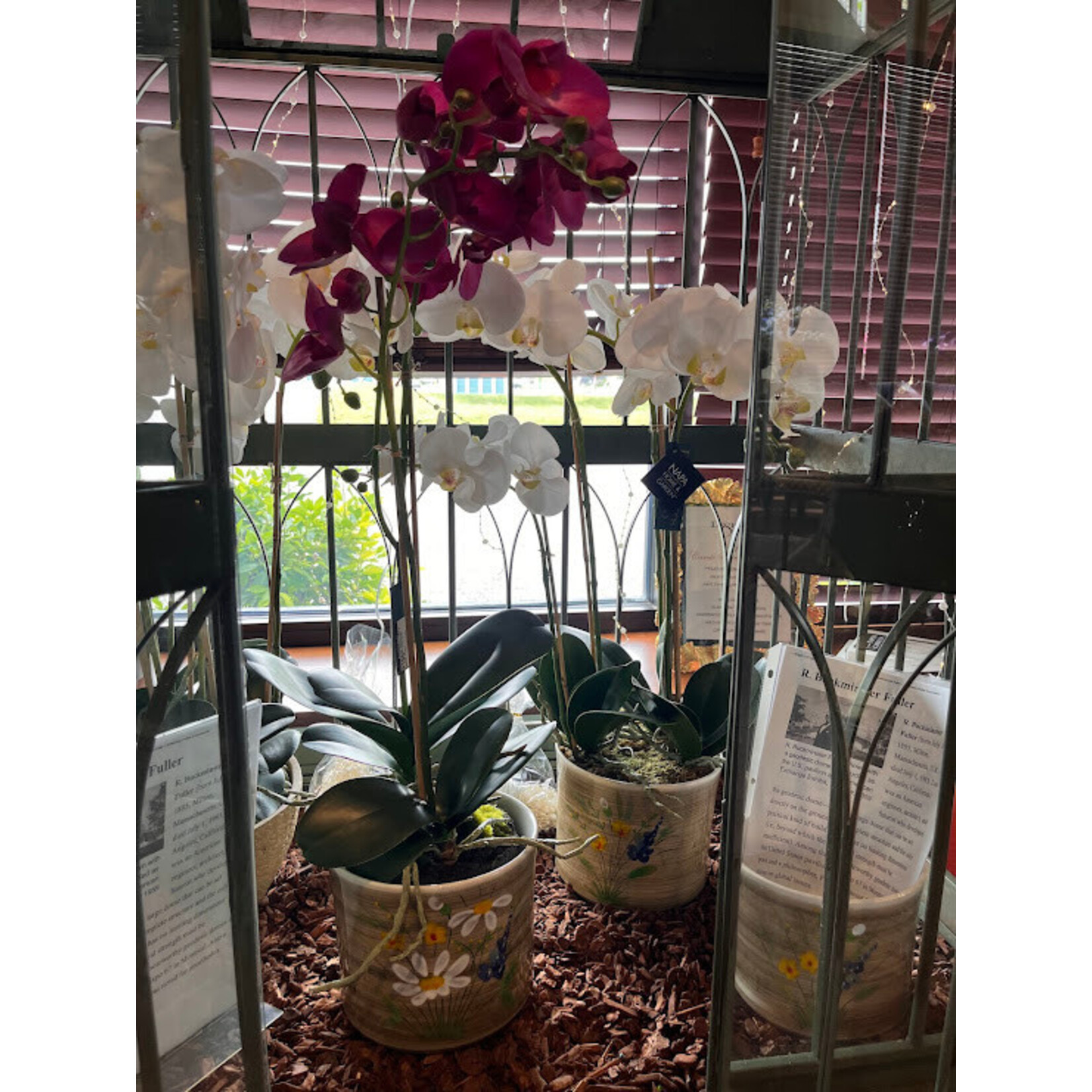 Napa Home and Garden Phalaenopsis Orchid Drop in 30"