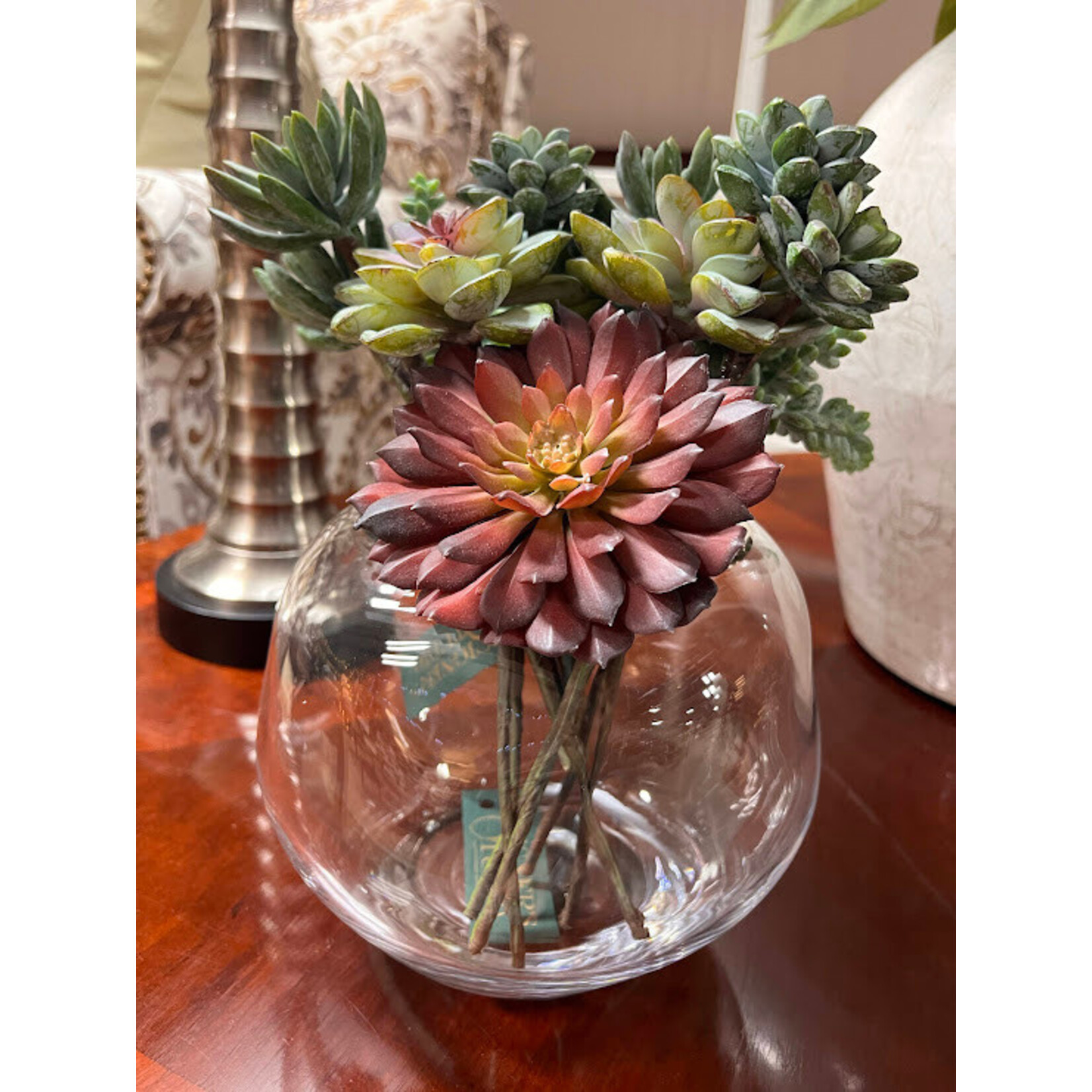 Winward Floral & Seasonal Decor Graptosedum Succulent 8" Pick Burgundy