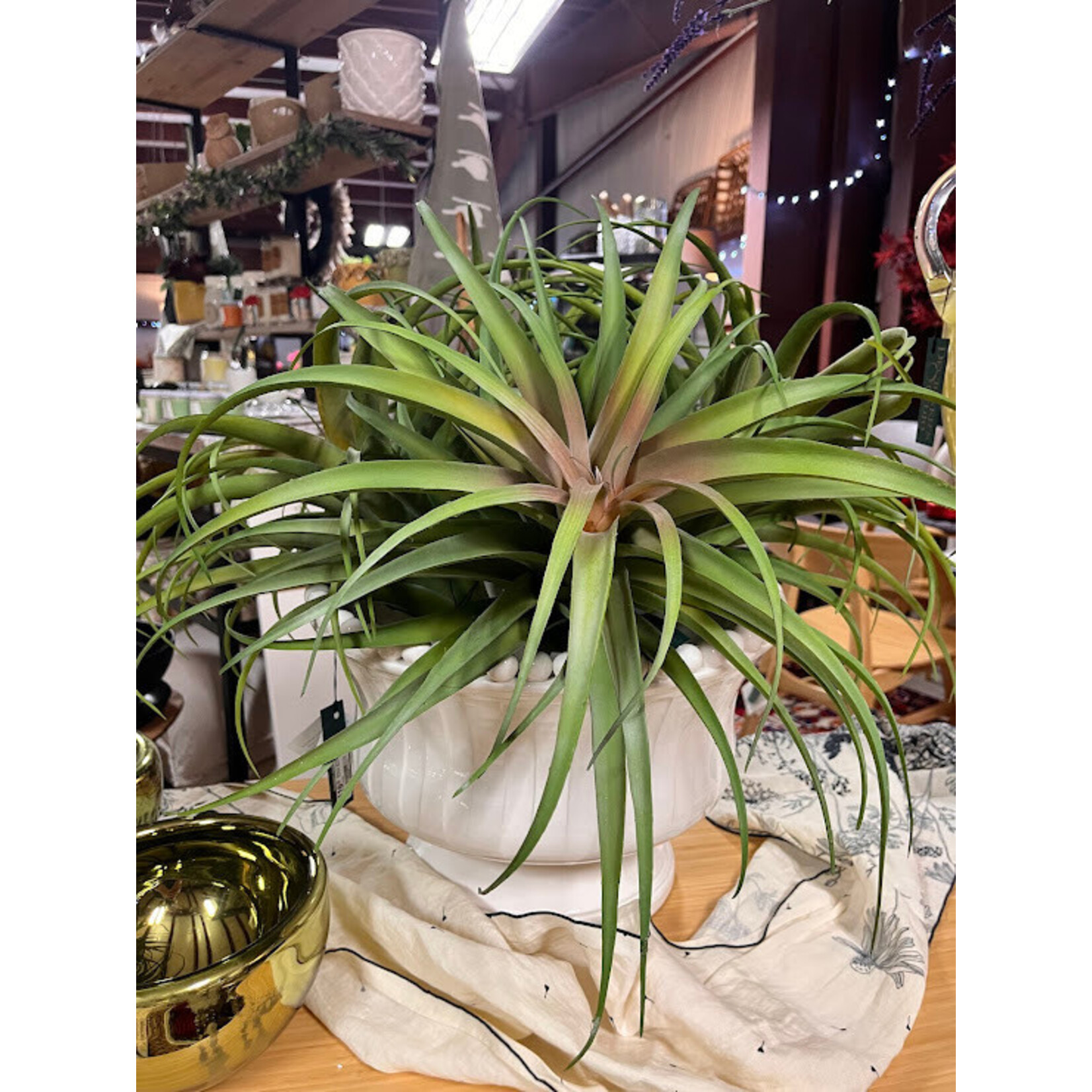 Winward Home Spider Bromelia Green Burgundy 17" Faux Pick