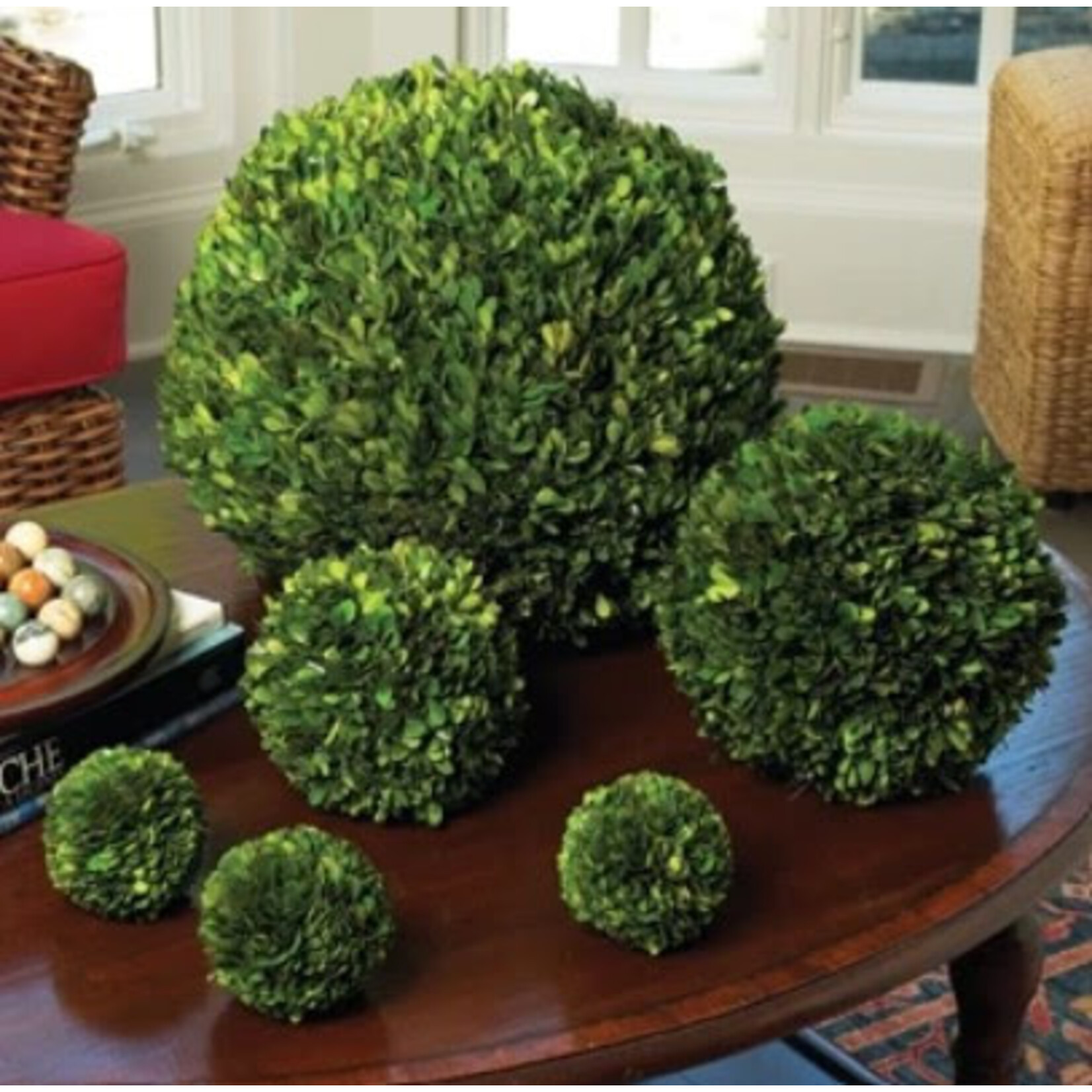 Winward Home Preserved Boxwood Ball 5"