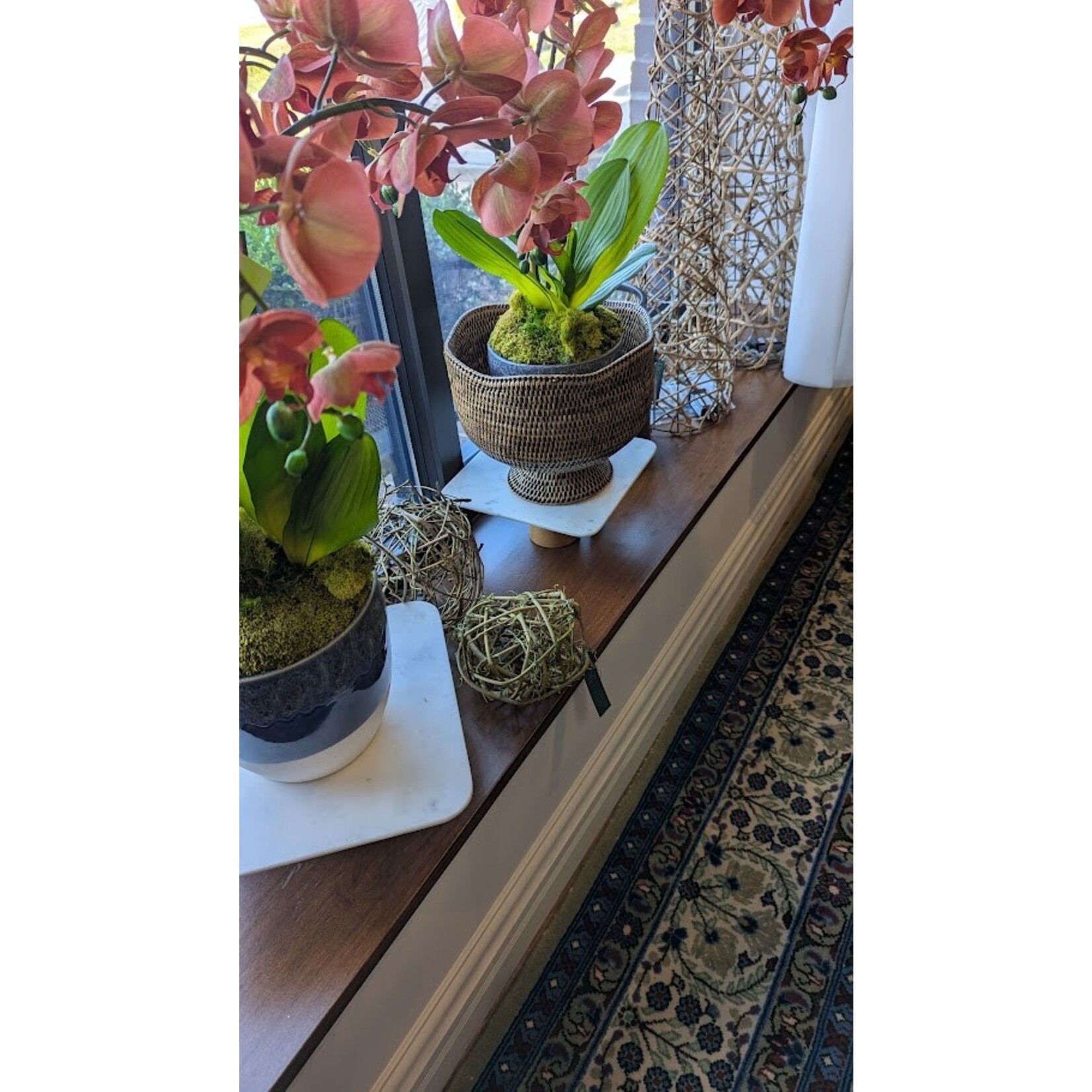 Coast Wholesale FL 6" Grapevine Ball