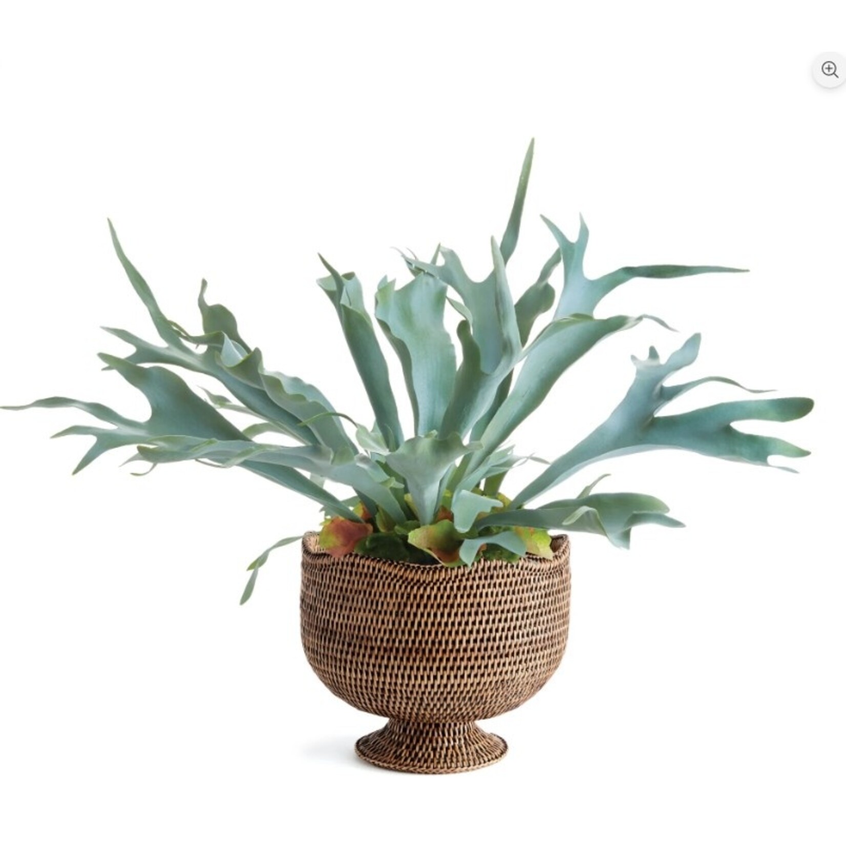 Napa Home and Garden Burma Rattan Footed Cachepot Planter