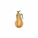 Vietri Pumpkins Figural Amber Glass Gourd