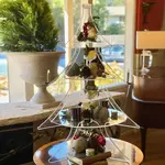 A Treasured Tree Tall Acrylic Traditional Tree Display 4'
