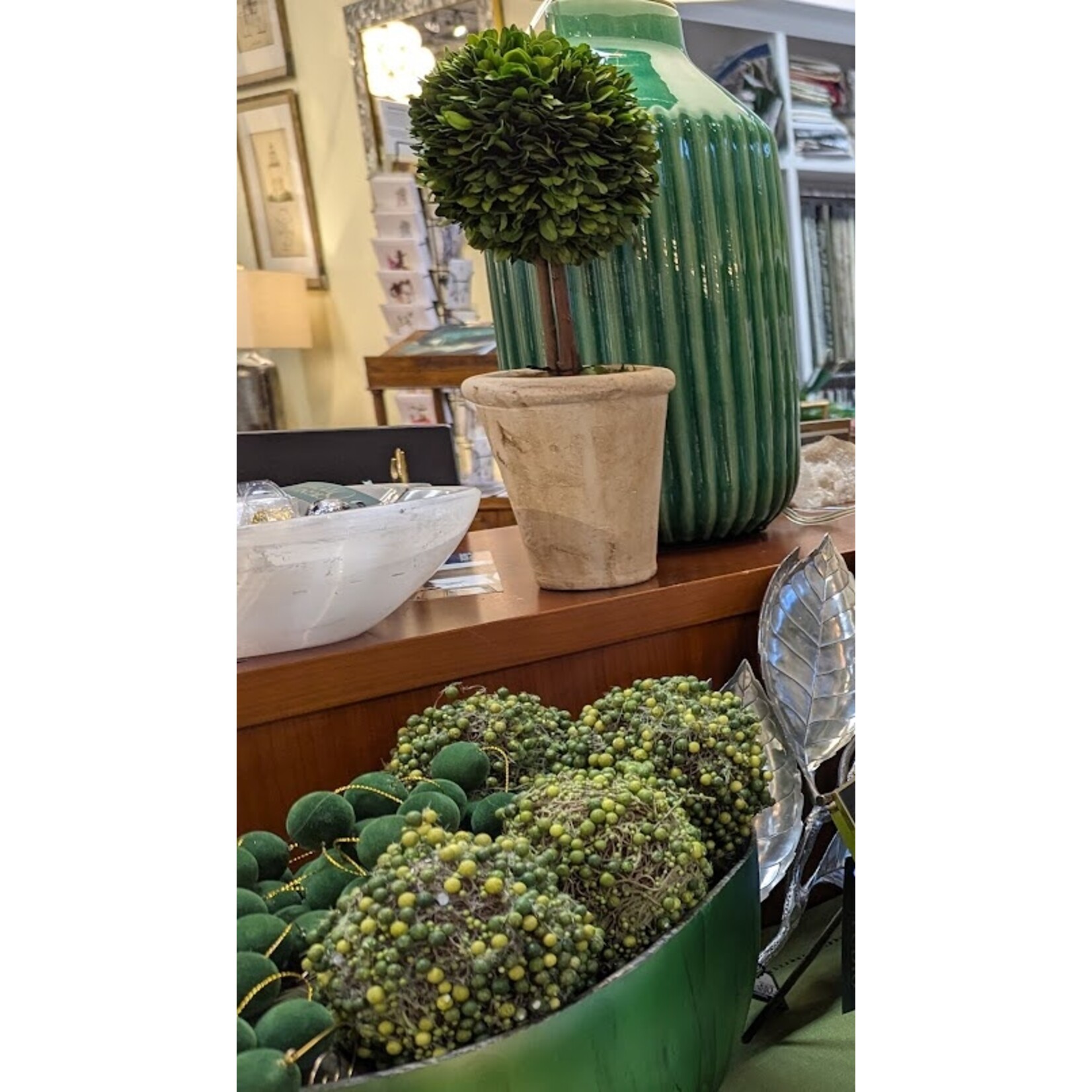 Napa Home and Garden Topiary in Small Pot Boxwood Preserved