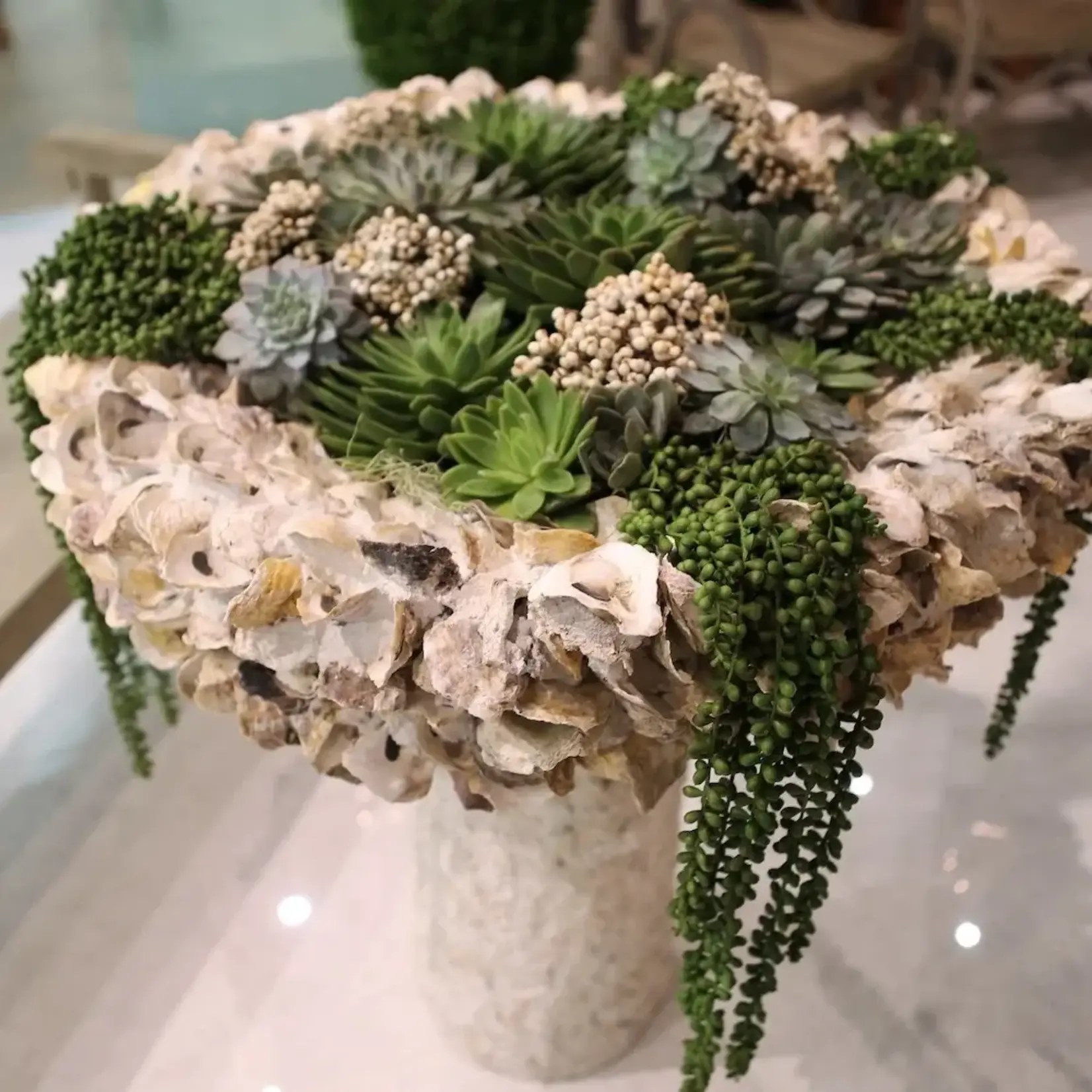 Currey & Company Oyster Shell Medium Bird Bath