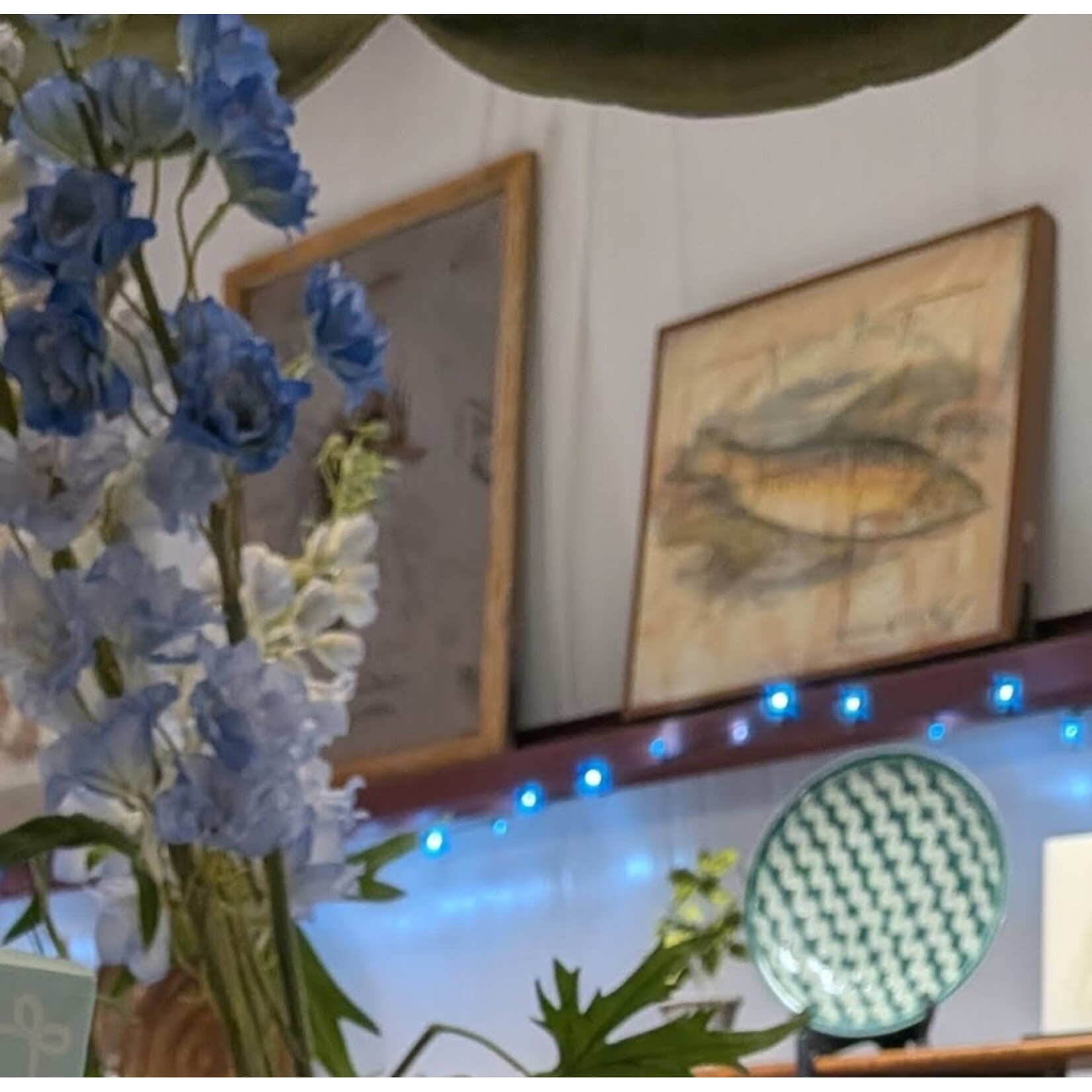 Elizabeth Lucas Univ. of Penn Fish Artwork Print