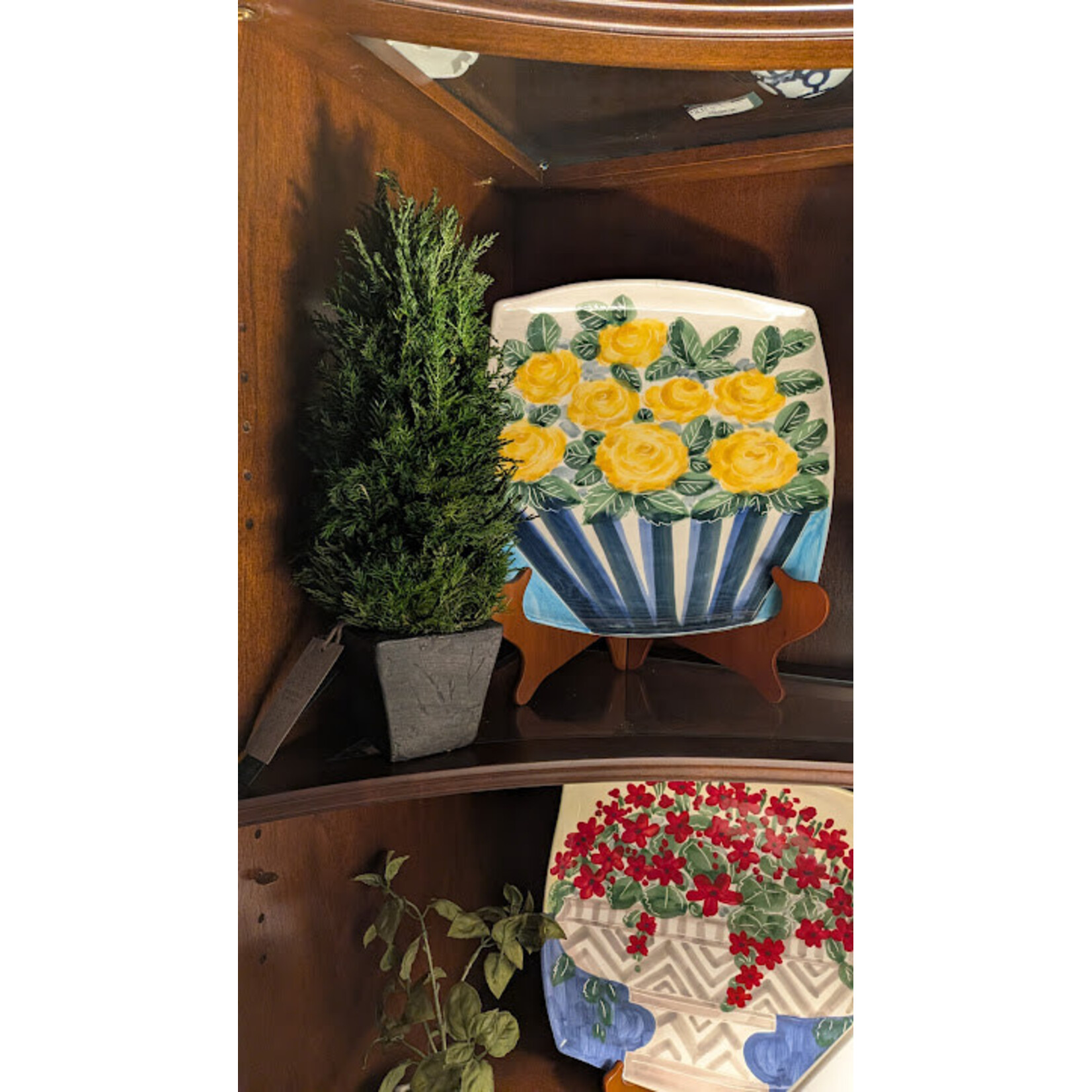 Zodax Cypress Tree Preserved Topiary Medium