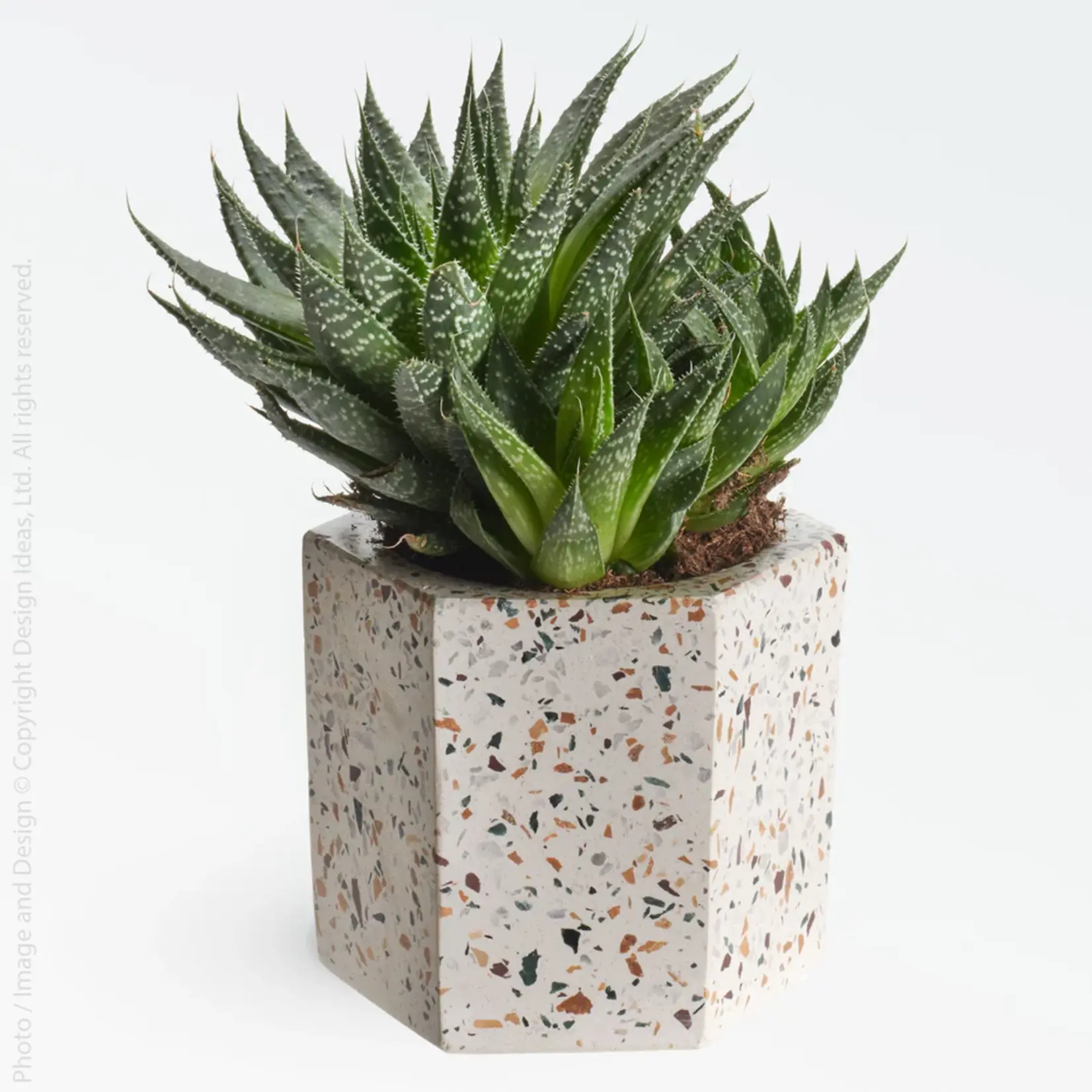 Texxture Terrazza Cement Hex Candleholder Planter