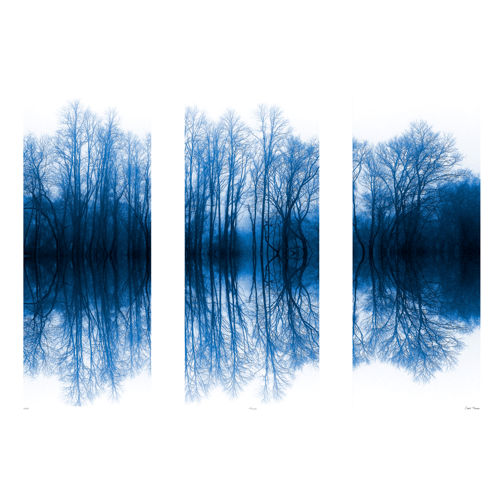 LDN collections Blue Treescape Triptych Framed Artwork
